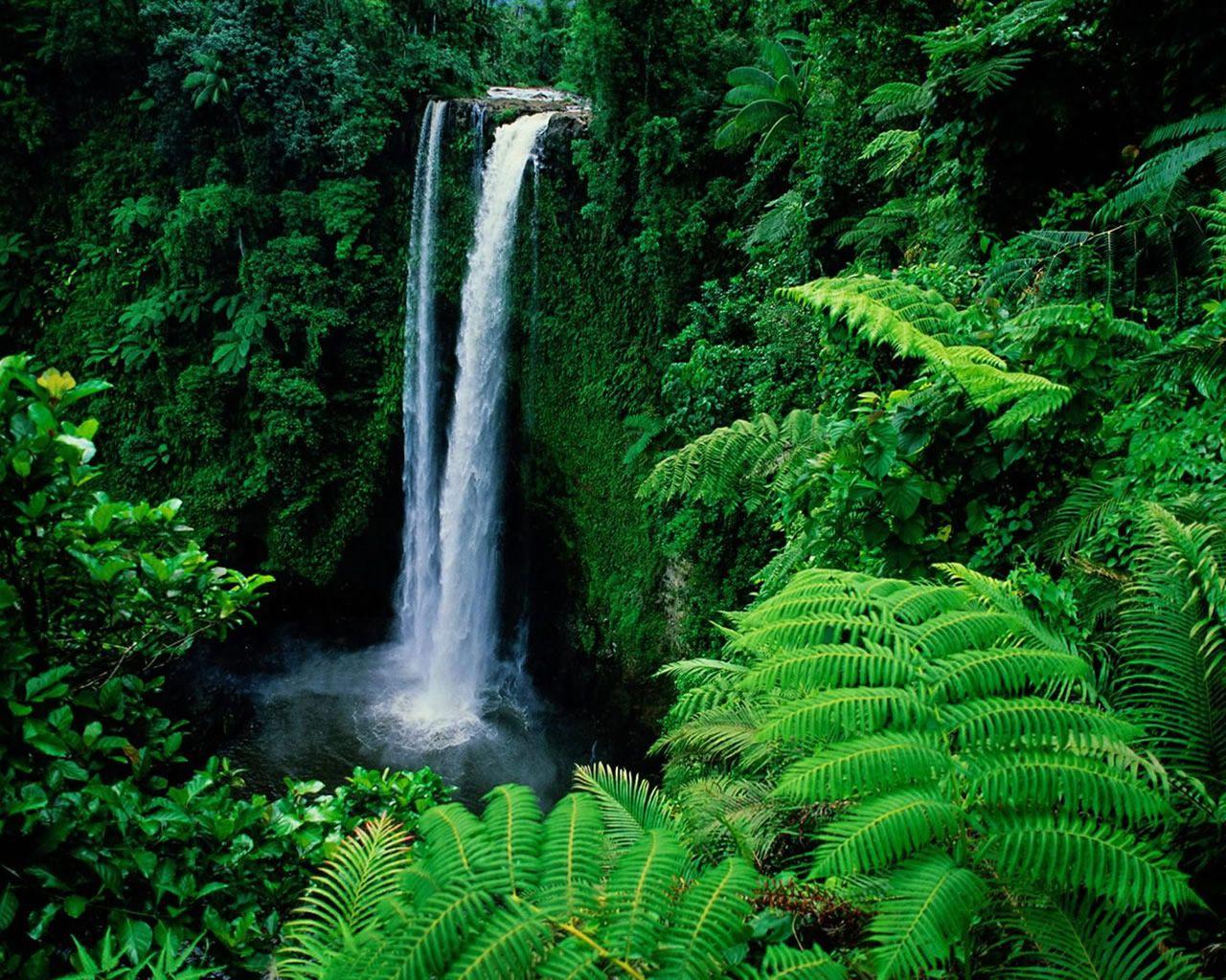 1280x1024 Your Provision. Beautiful waterfalls, Waterfall, Waterfall wallpaper