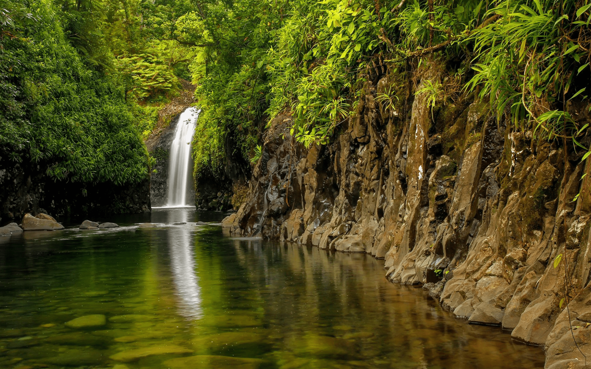 1920x1200 Download wallpaper Wainibau Waterfall, beautiful waterfall, rain forest, jungle, Taveuni Island, Fiji for desktop with resolution 1920x1200. High Quality HD picture wallpaper