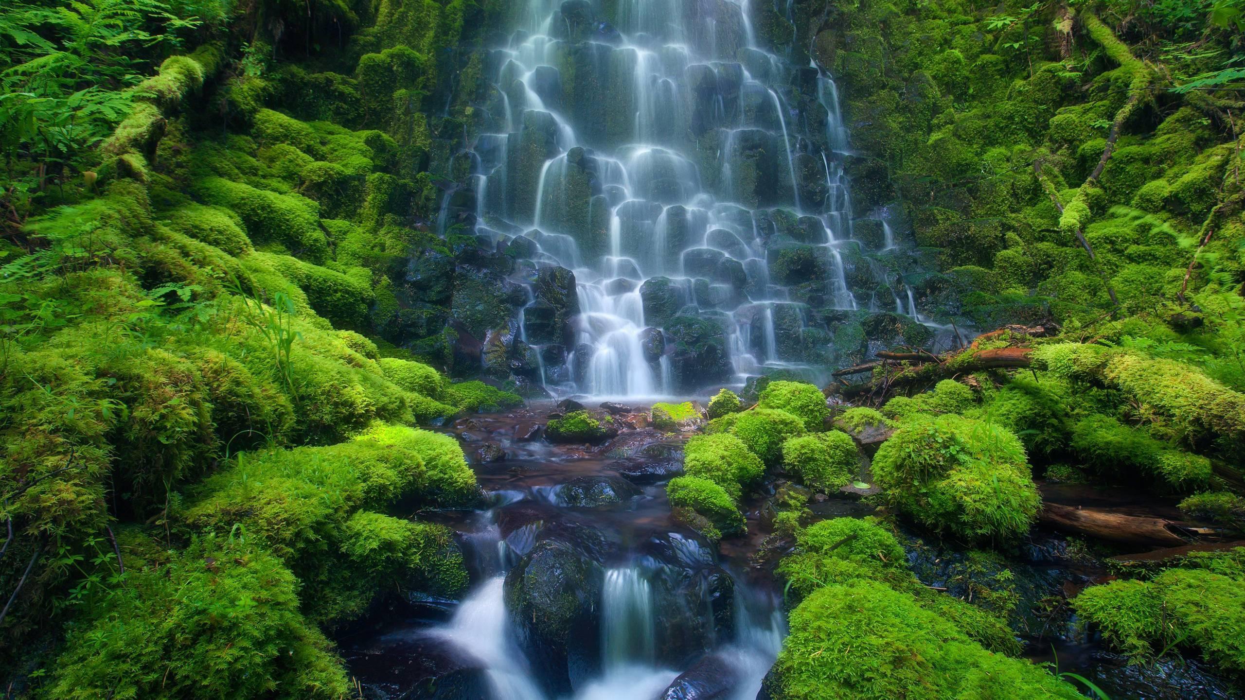 2560x1440 Waterfalls in the forest Wallpaper