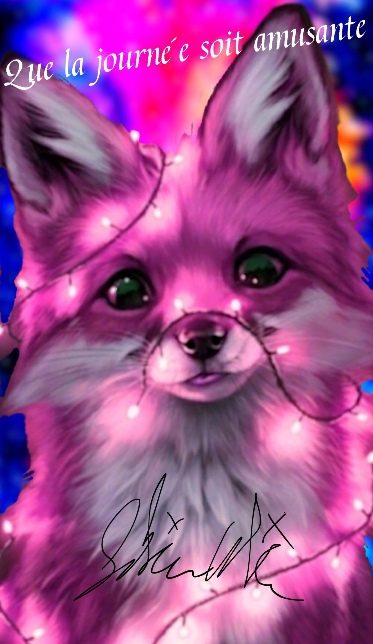 1242x2141 Created by Brina. Cute fox drawing, Cute cartoon animals, Cute animal drawings