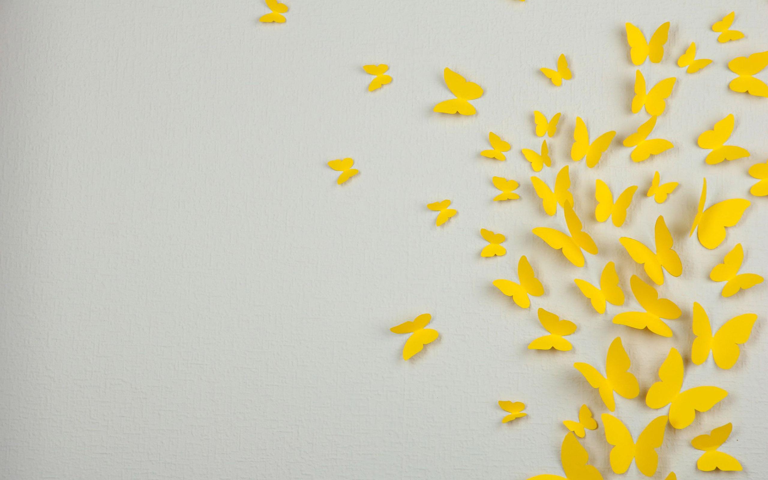 2560x1600 Pastel Aesthetic Yellow Background HD