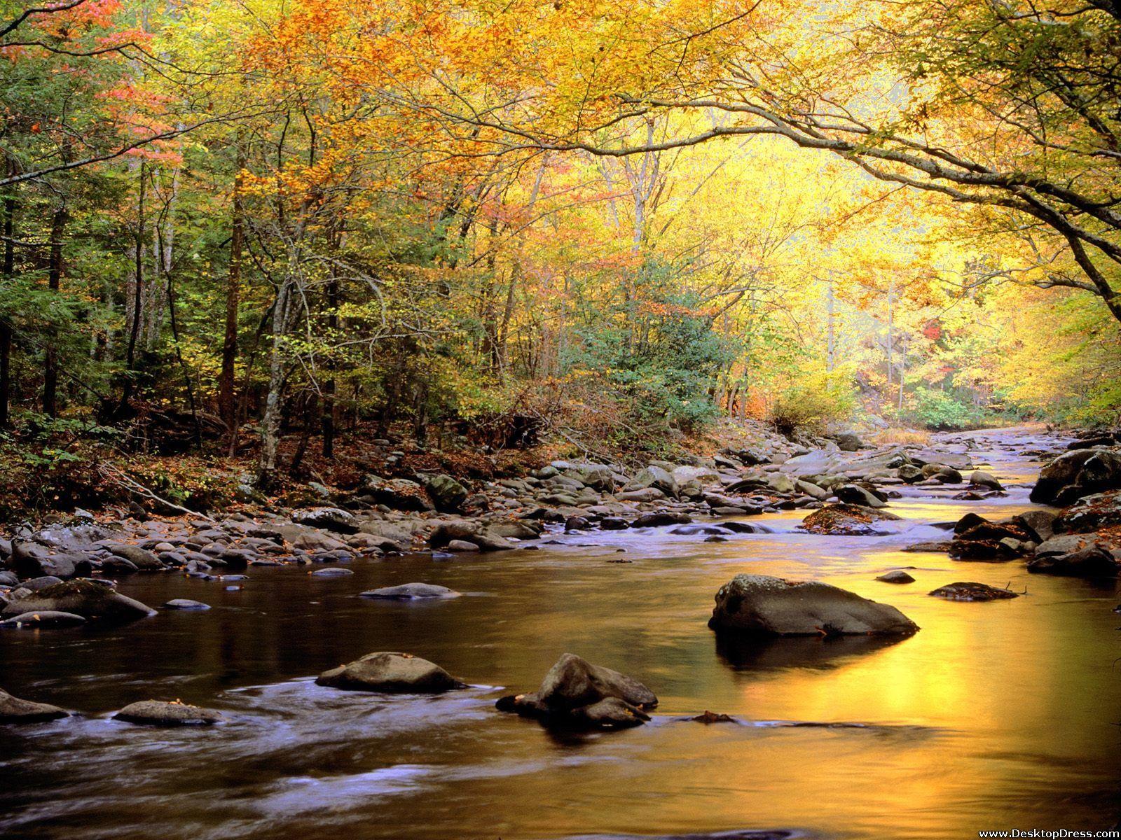 1600x1200 Desktop Wallpaper Natural Background Golden Waters, Great