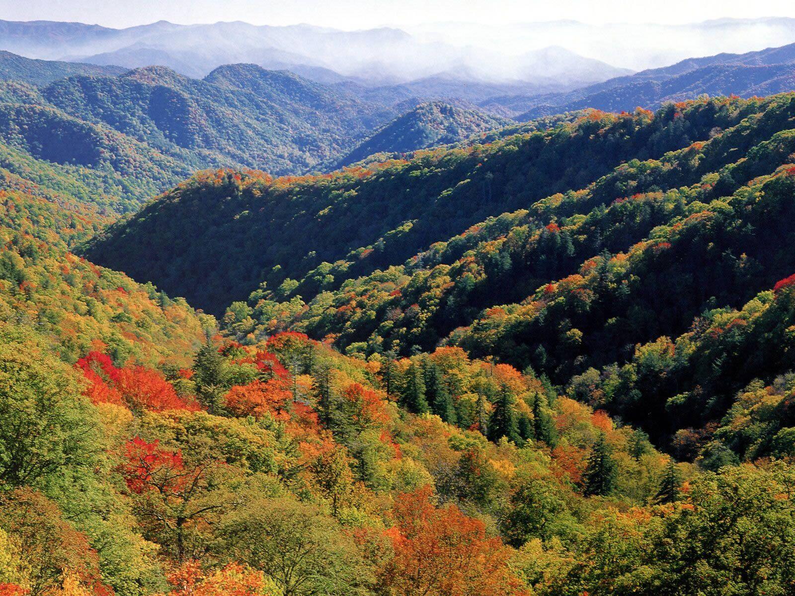 1600x1200 North Carolina Great Smoky Mountains