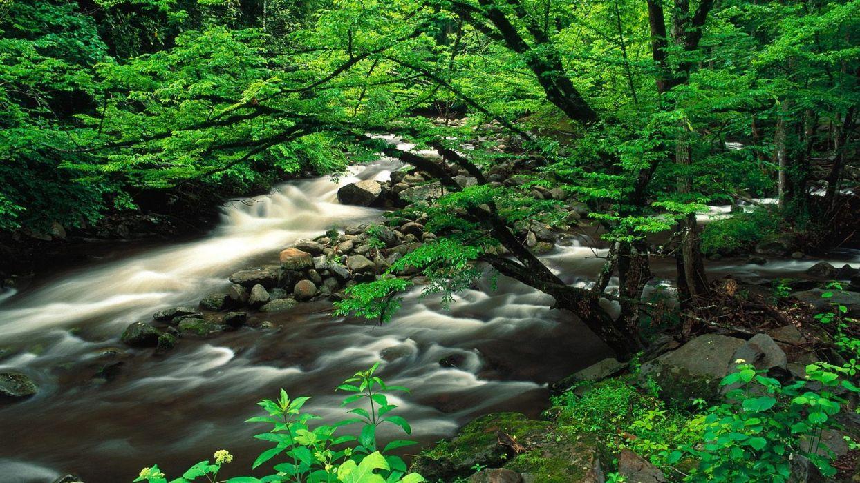 1244x700 Landscapes Tennessee National Park Great Smoky Mountains wallpaper