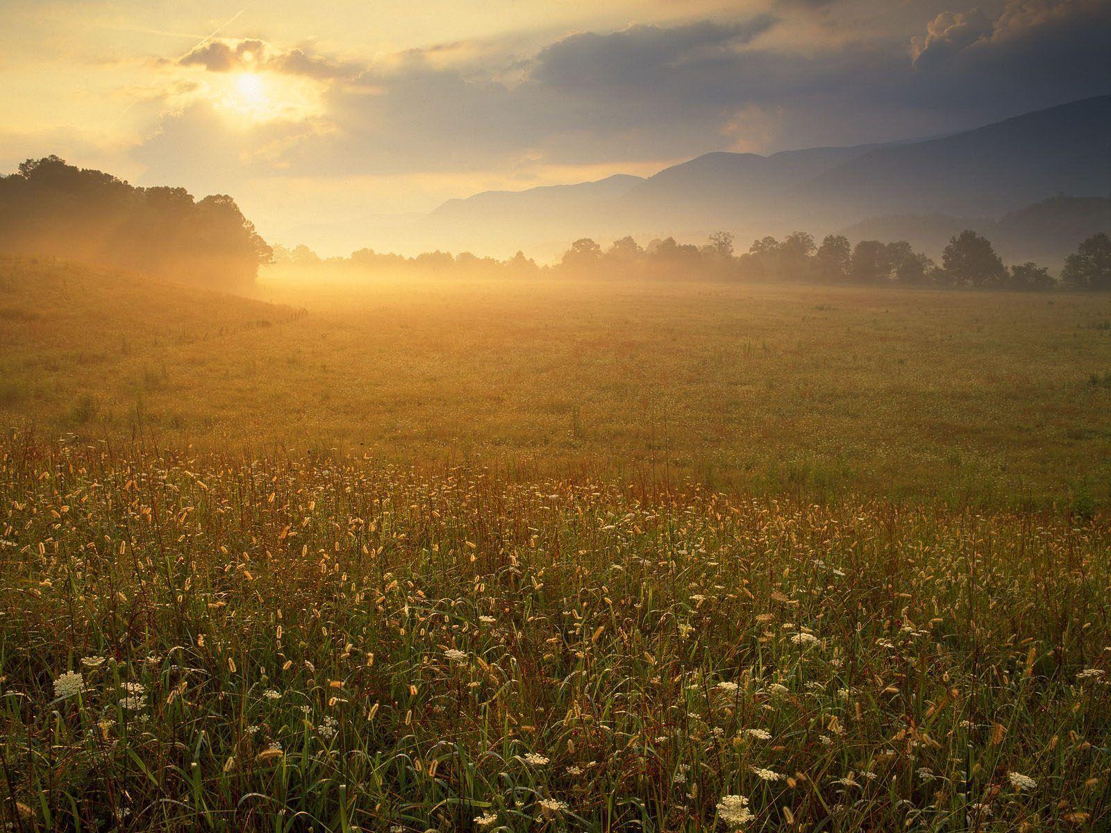 1600x1200 Nature: Cades Cove Sunrise, Great Smoky Mountains National Park
