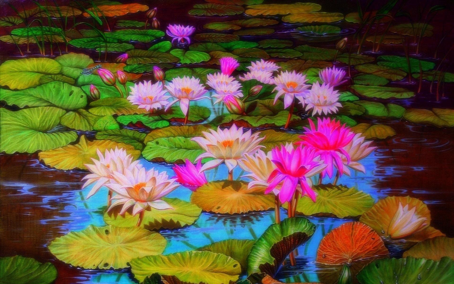 1920x1200 Pond with Lotus Flowers HD Wallpaper