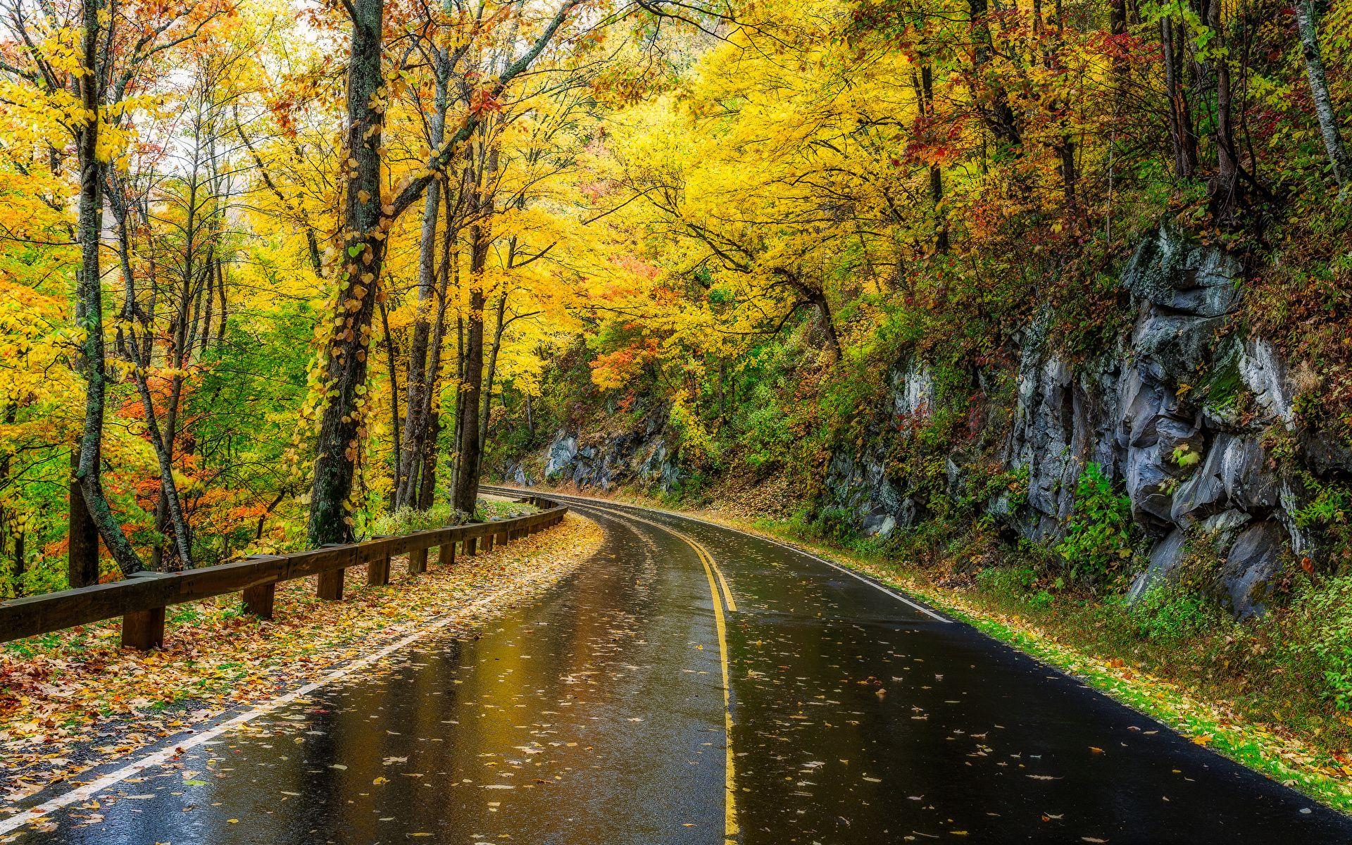 Great Smoky  Mountains  Wallpapers  Top Free Great Smoky  