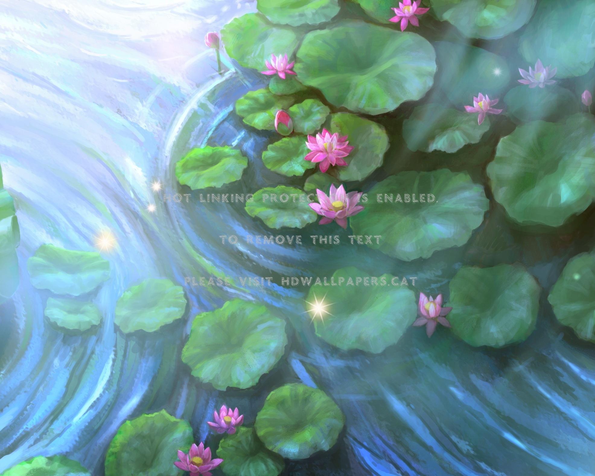 1972x1578 anime lotus pond lovely water lily blossom