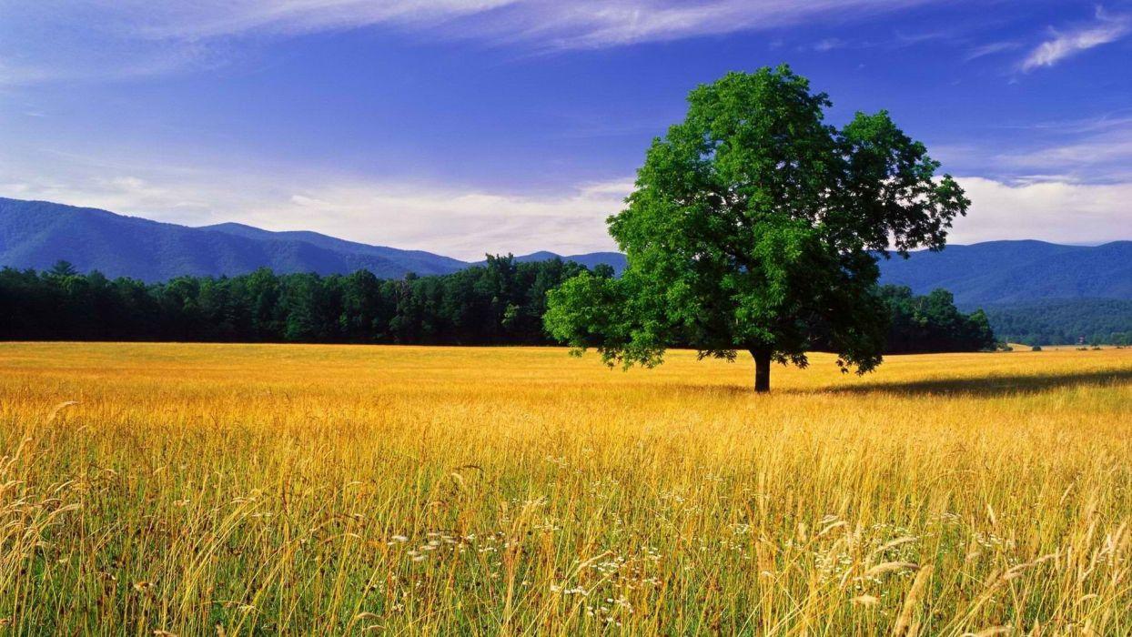 download free great smoky mountains download free great smoky mountains