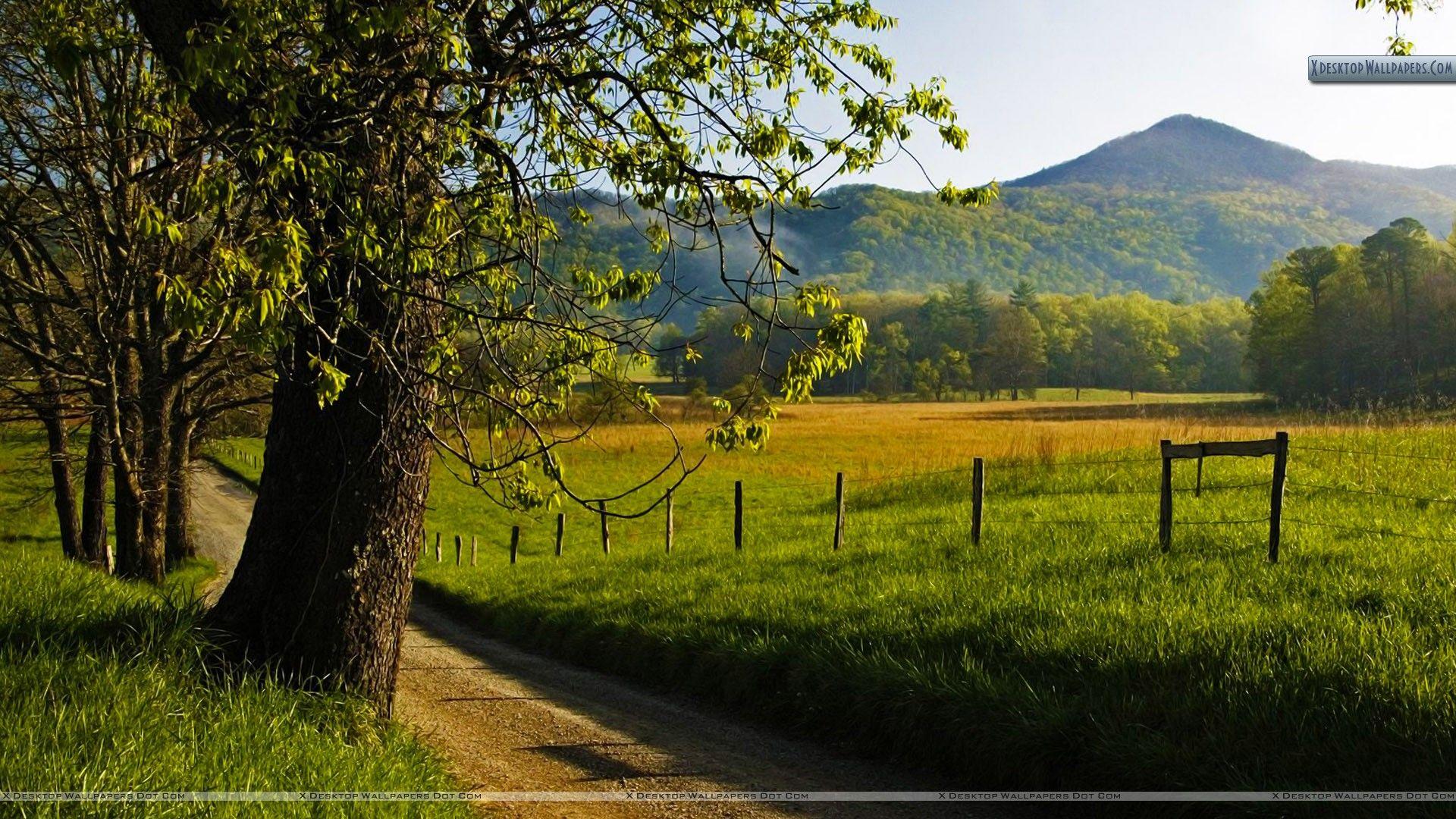 1920x1080 Hyatt Lane in Spring, Great Smoky Mountains, Tennessee Wallpaper