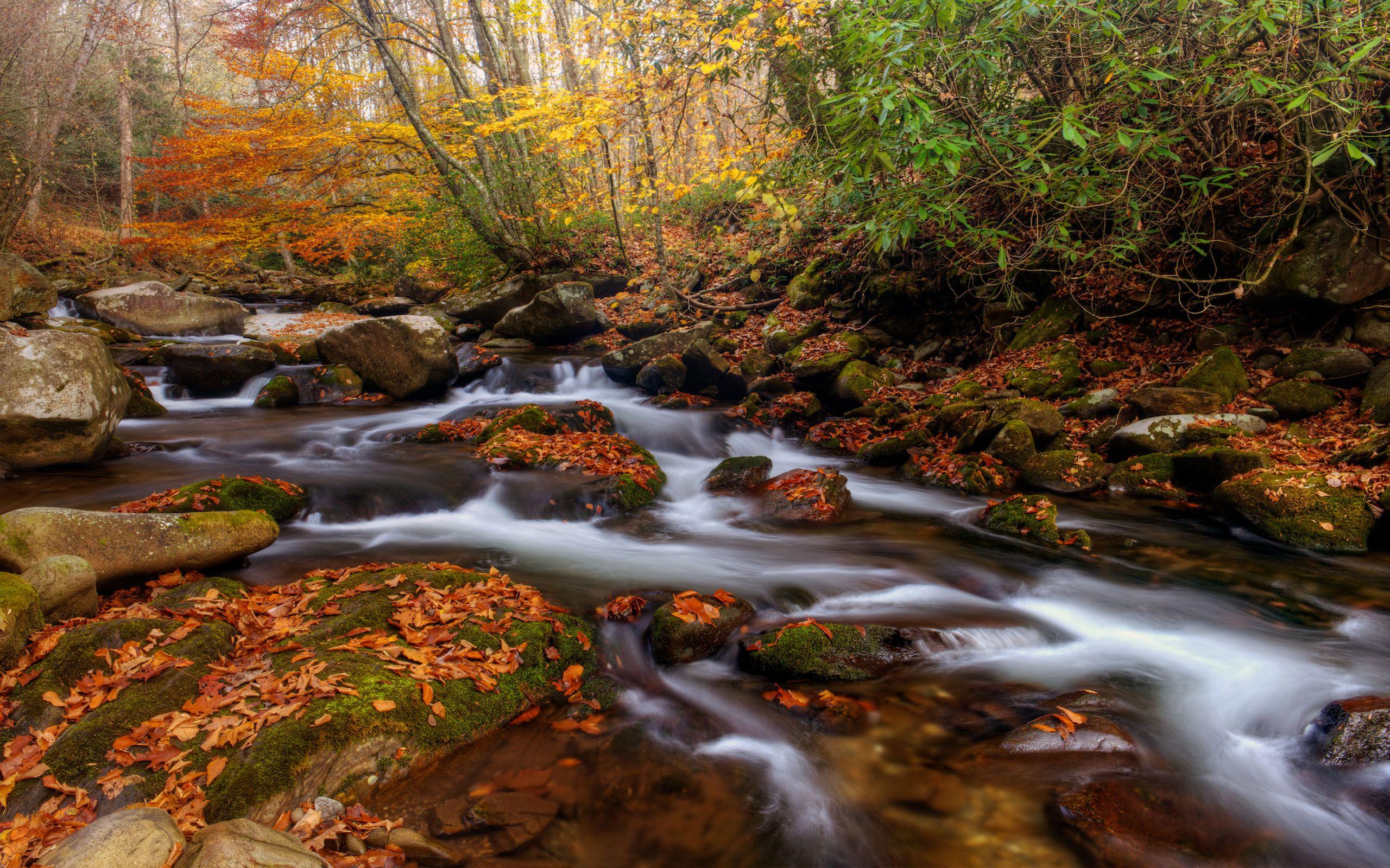 2560x1600 Great Smoky Mountains National Park Is Americas Oconaluftee River