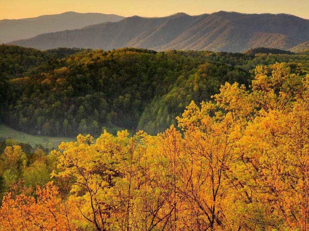 1024x768 Great Smoky Mountains National Park Tennessee Wallpaper