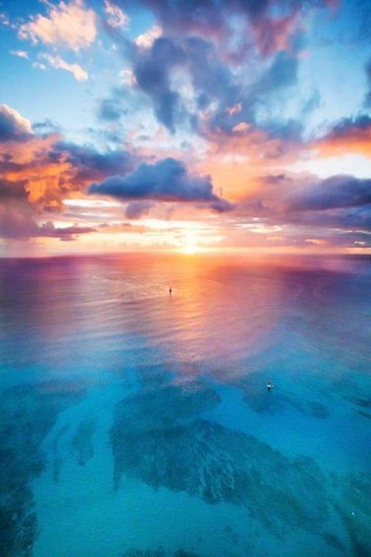 734x1101 iPhone Wallpaper For Ocean Lovers