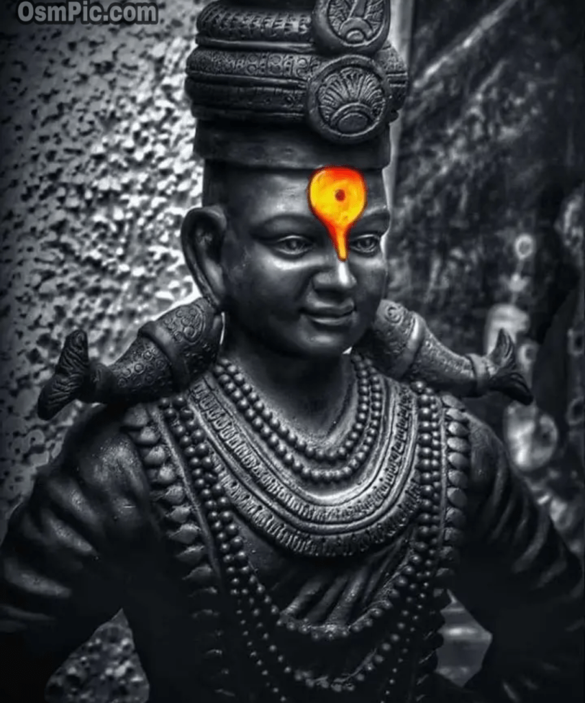 852x1024 Vitthal Mobile Wallpaper
