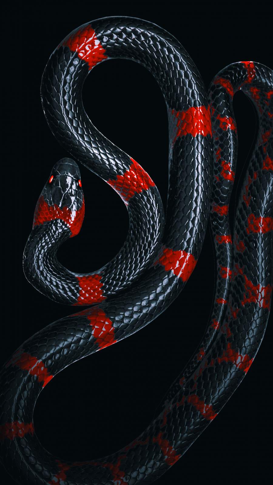 900x1600 Black Snake IPhone Wallpaper Wallpaper : iPhone Wallpaper