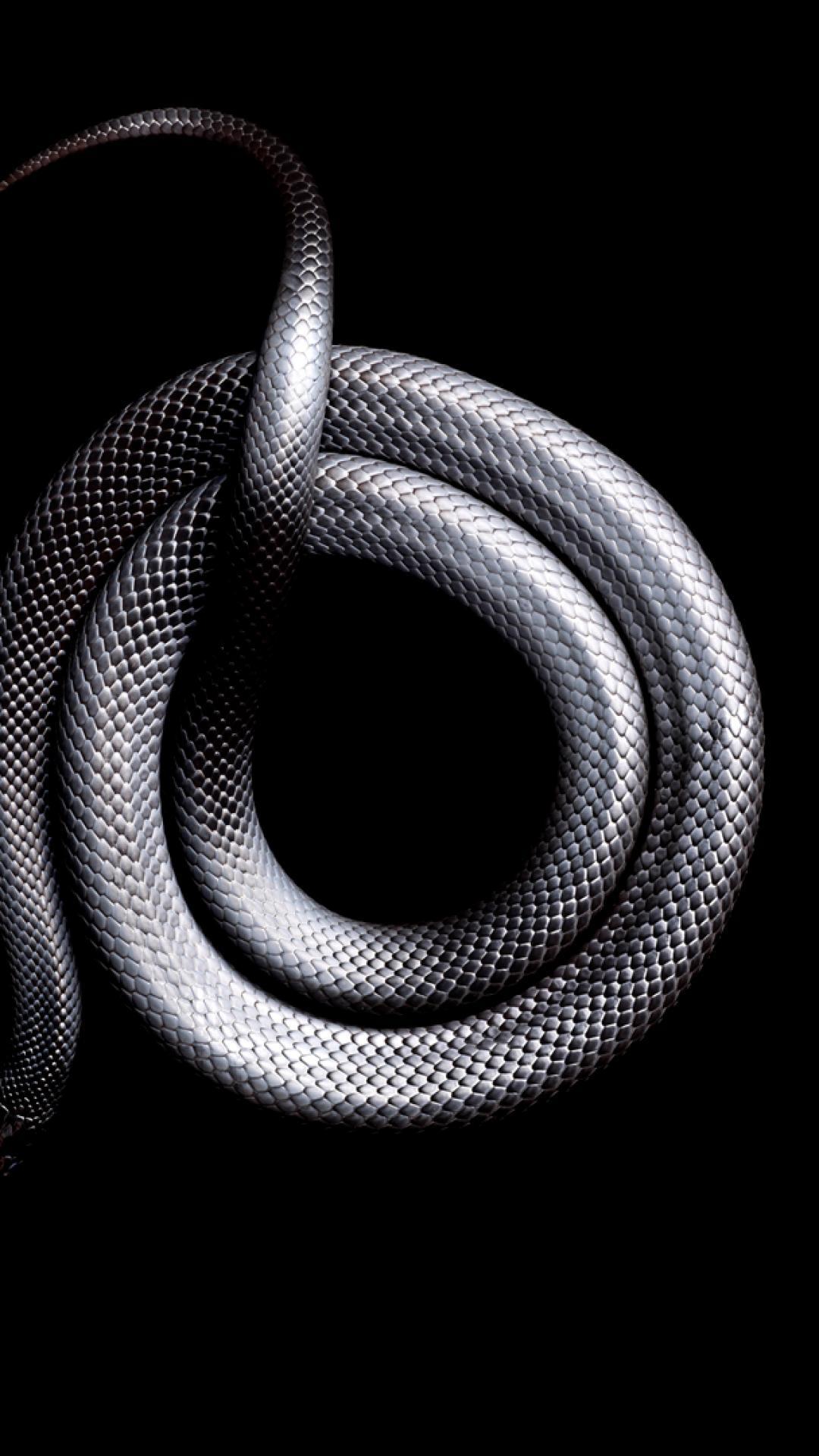1080x1920 snake iPhone 8 Plus Wallpaper Download
