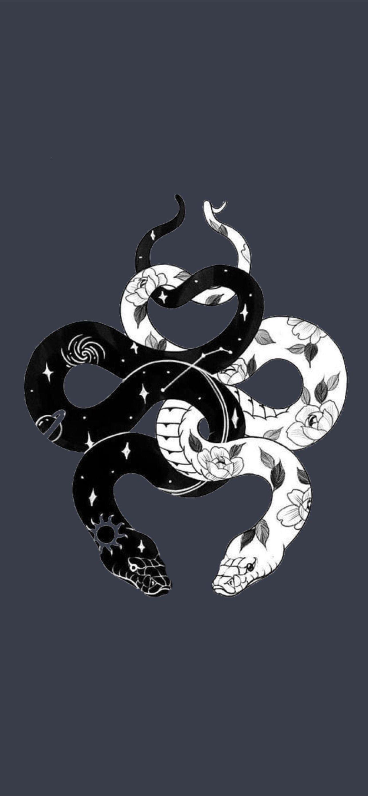 1284x2778 snake iPhone Wallpaper Free Download