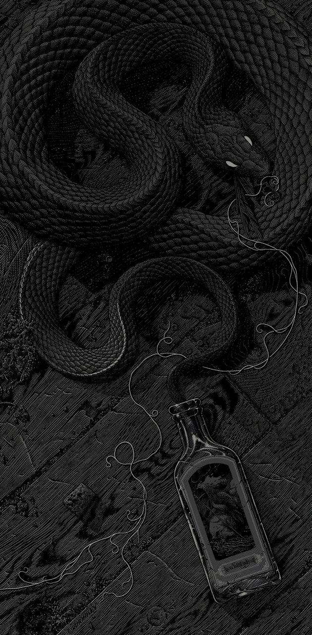 Black Snake iPhone Wallpapers - Top Free Black Snake iPhone Backgrounds