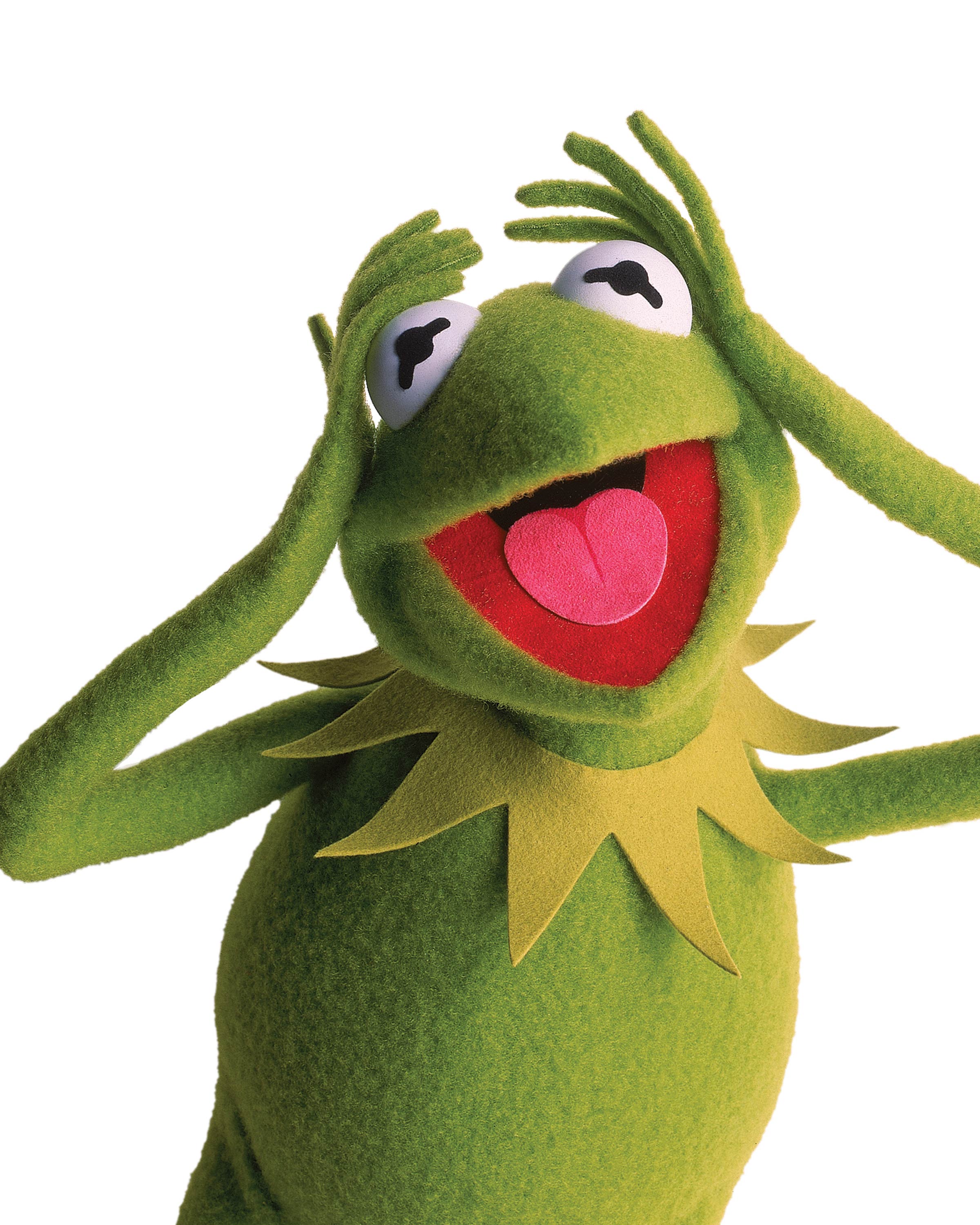 2400x3000 Kermit Wallpaper