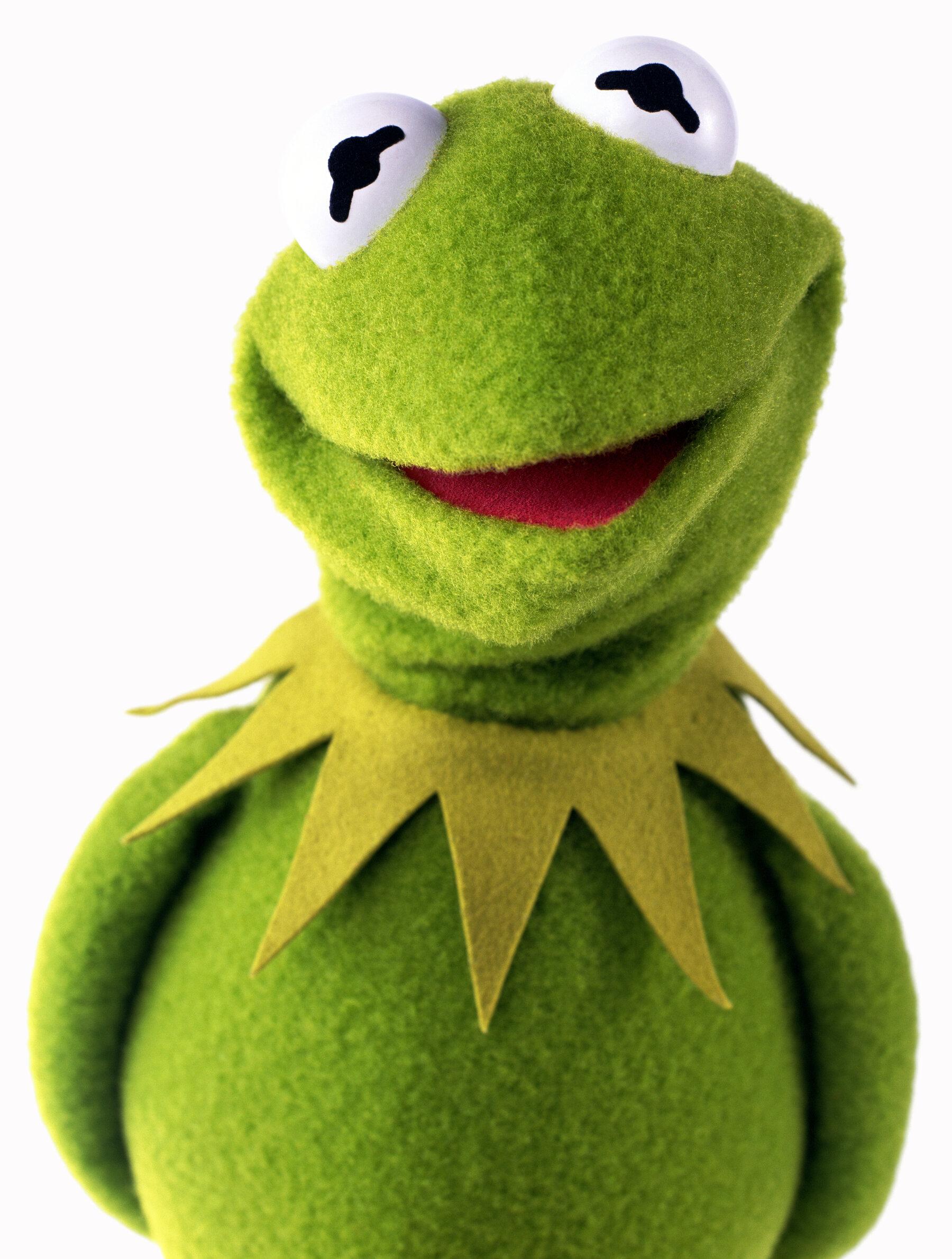 1800x2381 It's Time To Re Re Re Meet The Muppets