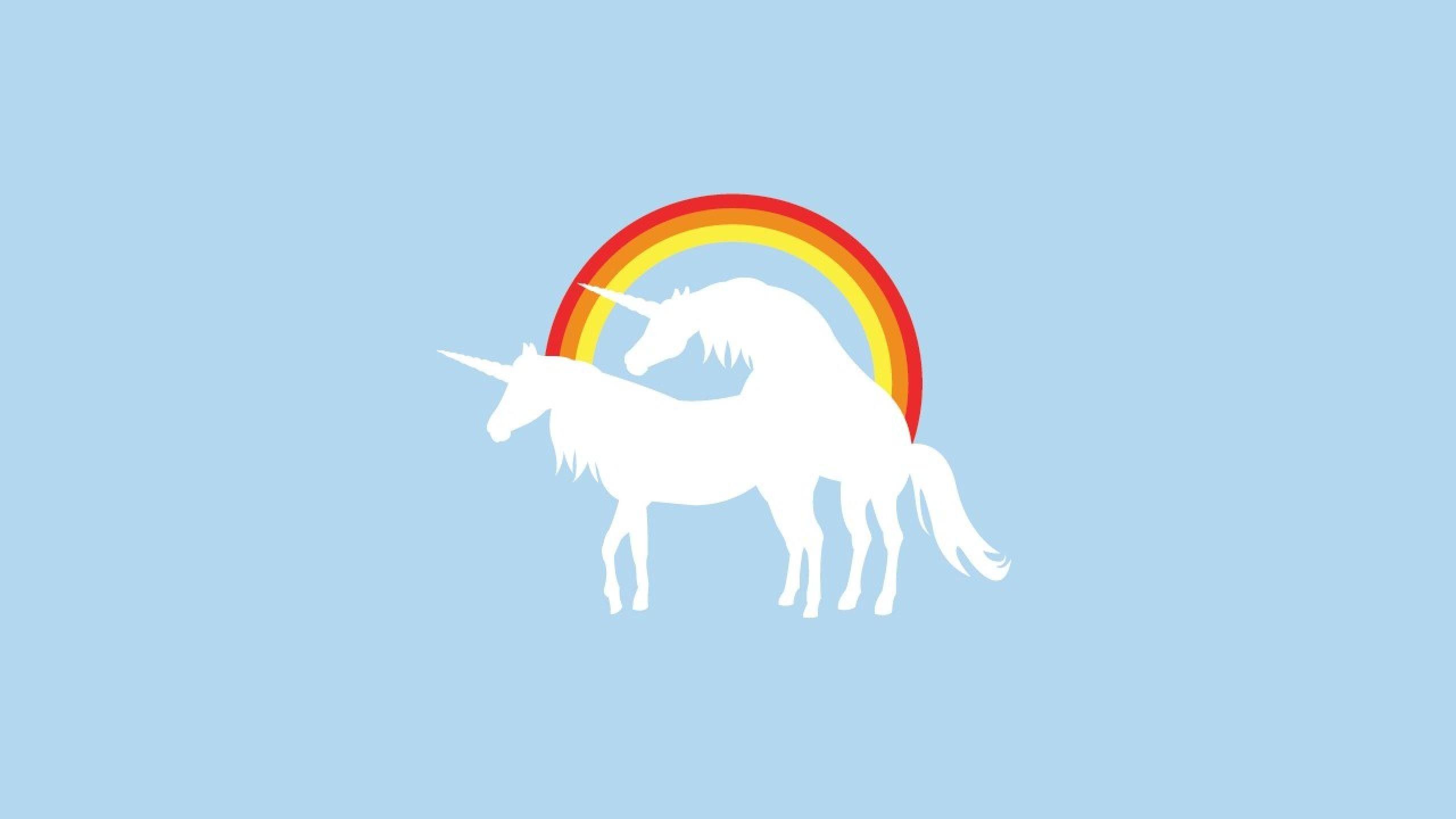 2560x1440 Funny Unicorn Desktop Wallpaper