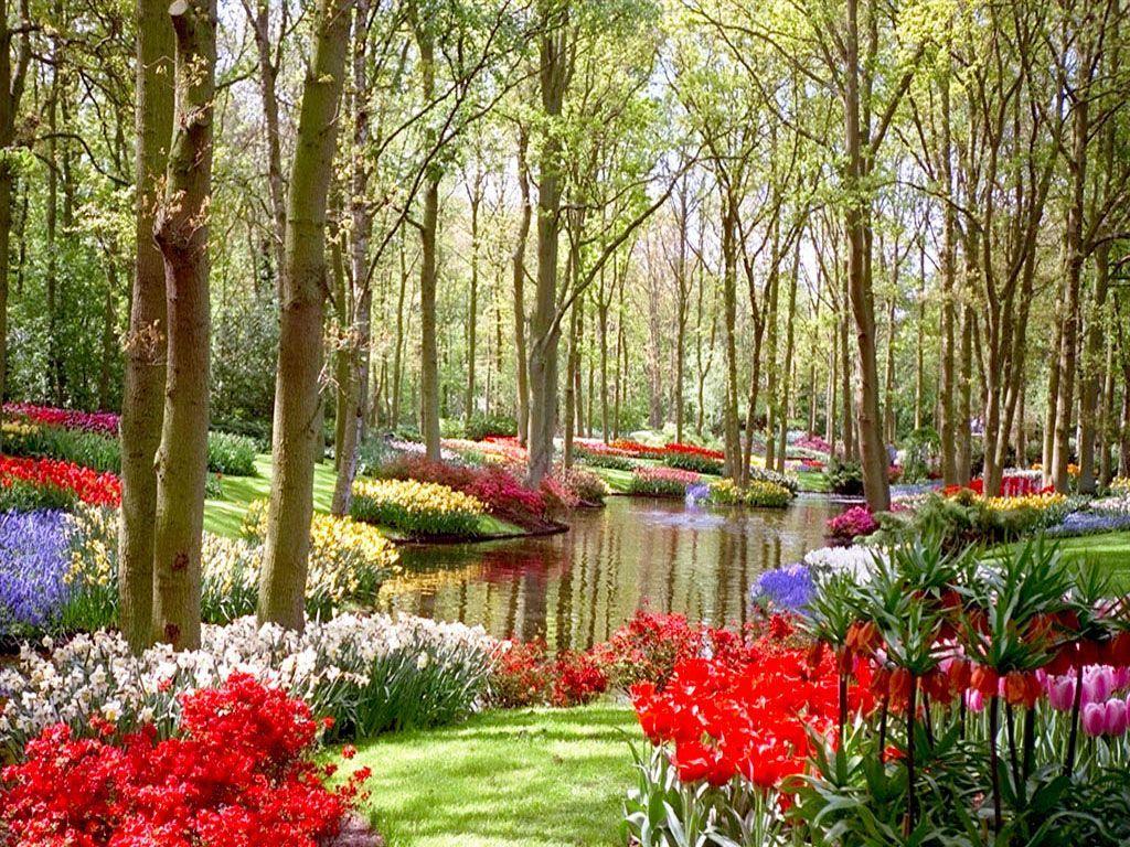 1024x768 Flower Garden English Wallpaper