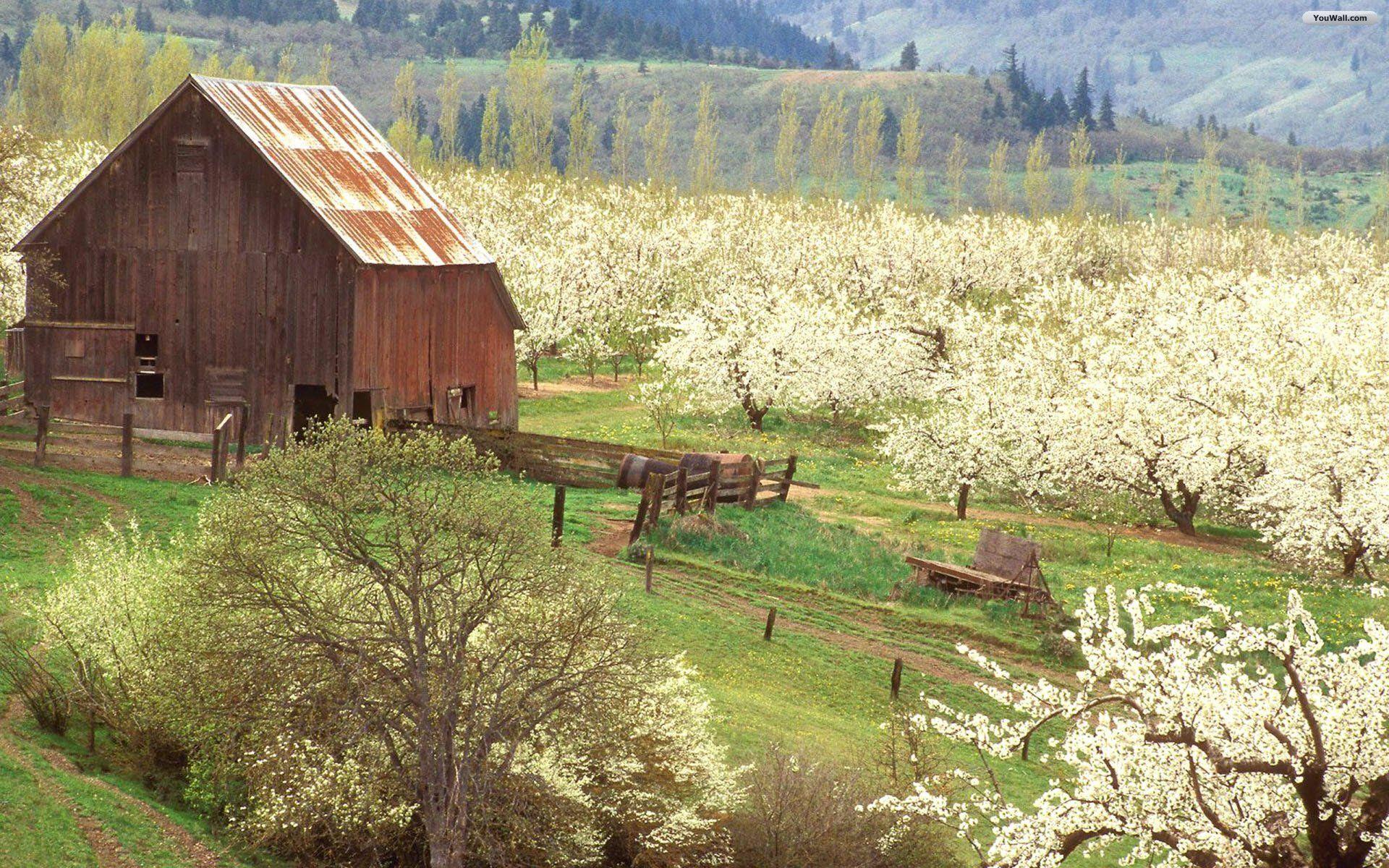 1920x1200 Country Spring Wallpaper