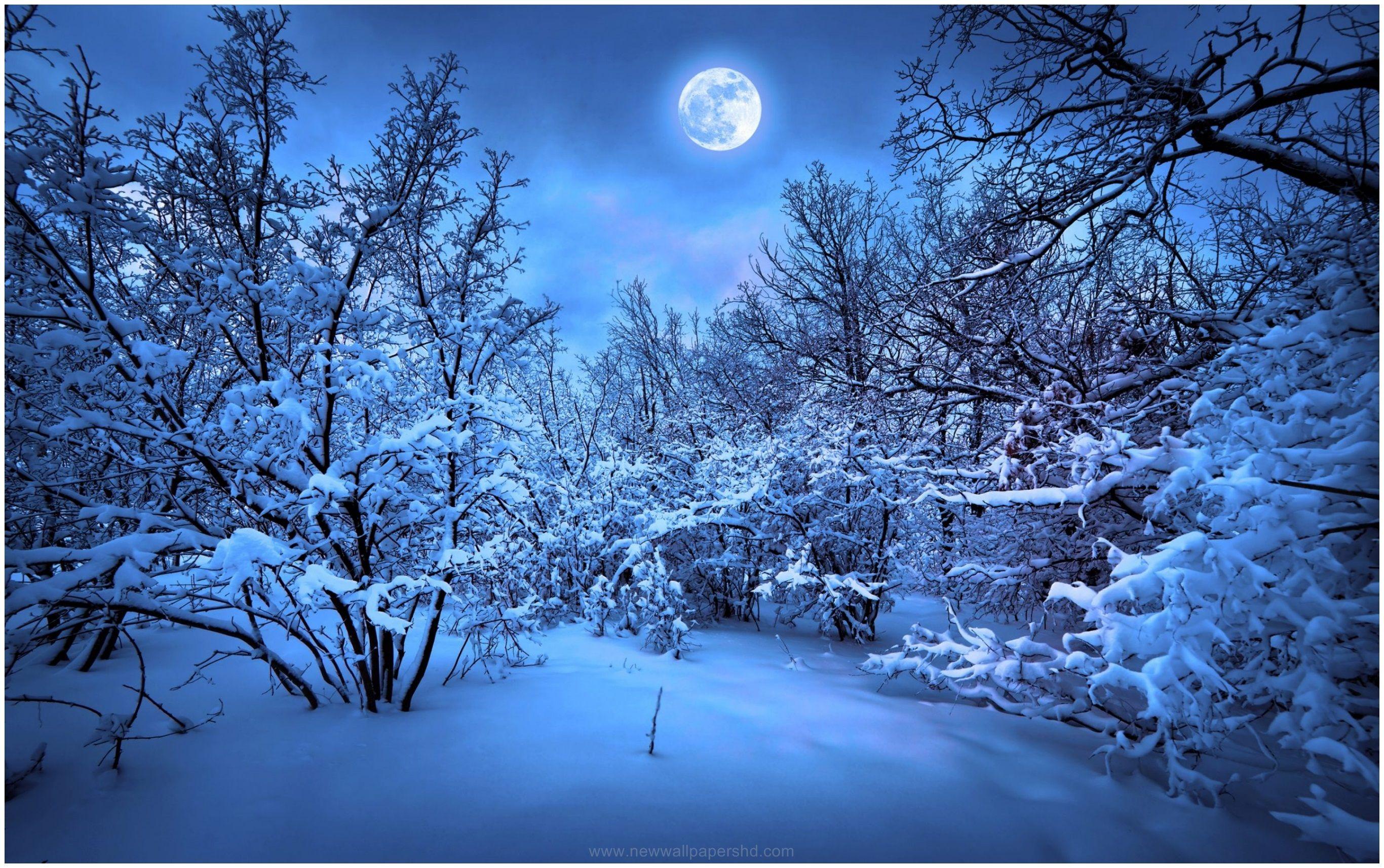 2732x1714 Snowy Winter Night Wallpaper