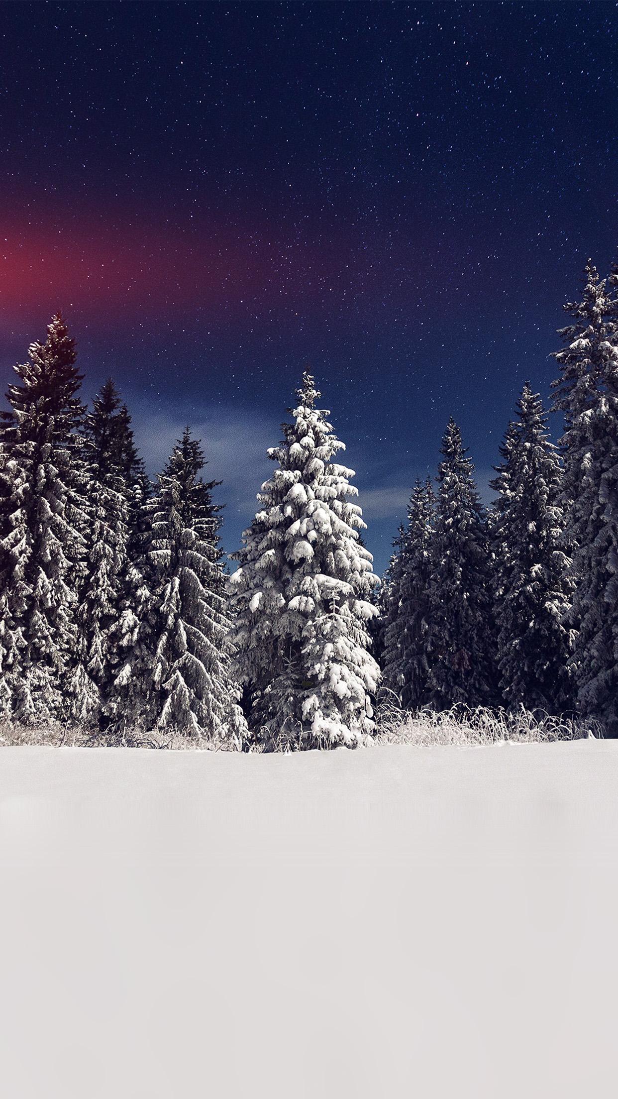 1242x2208 iPhone X wallpaper. snow winter wood mountain sky star night flare