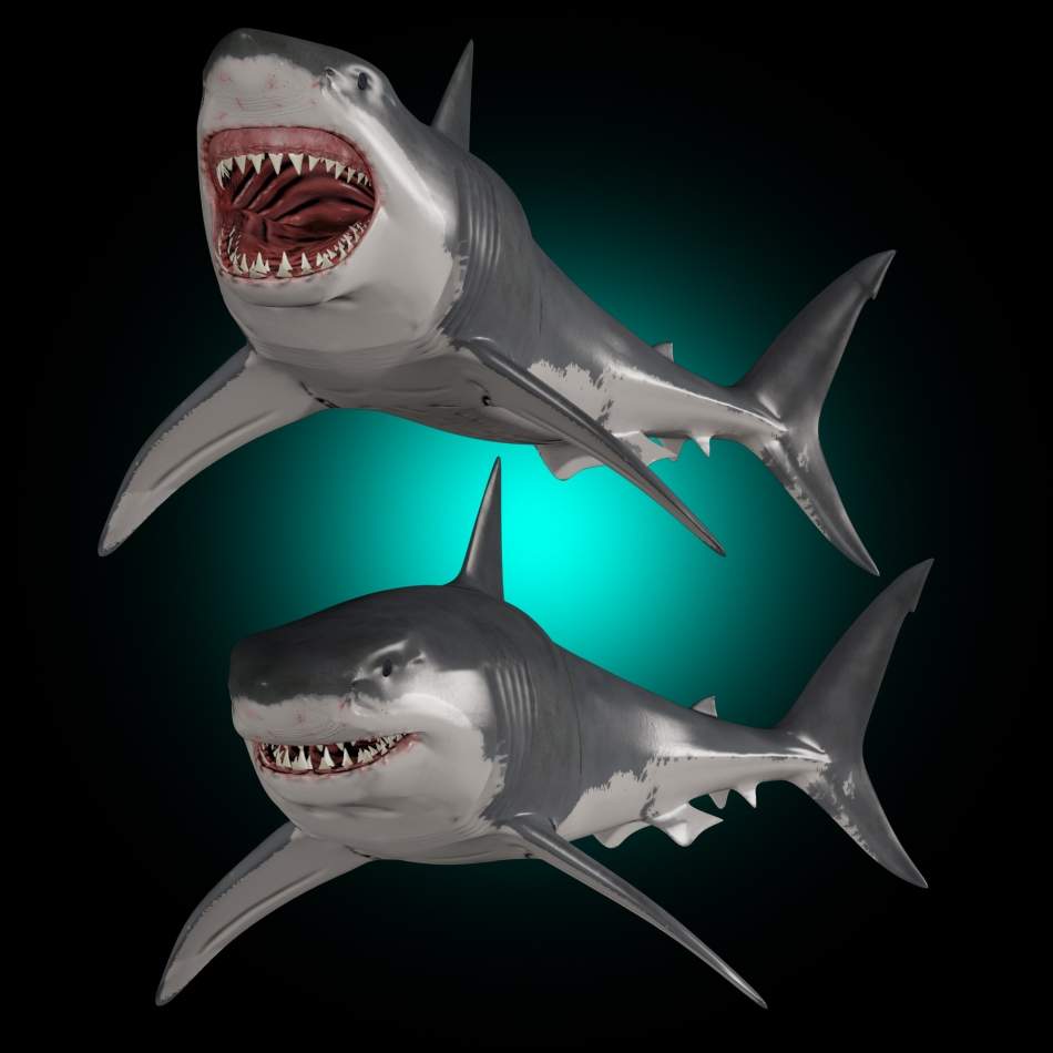950x950 JAWS Great White Shark 3D Model