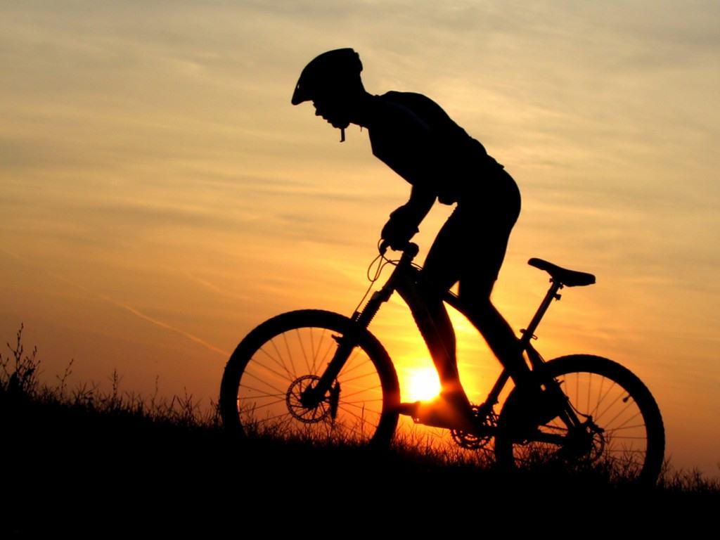 1024x768 Mountain Bike Wallpaper