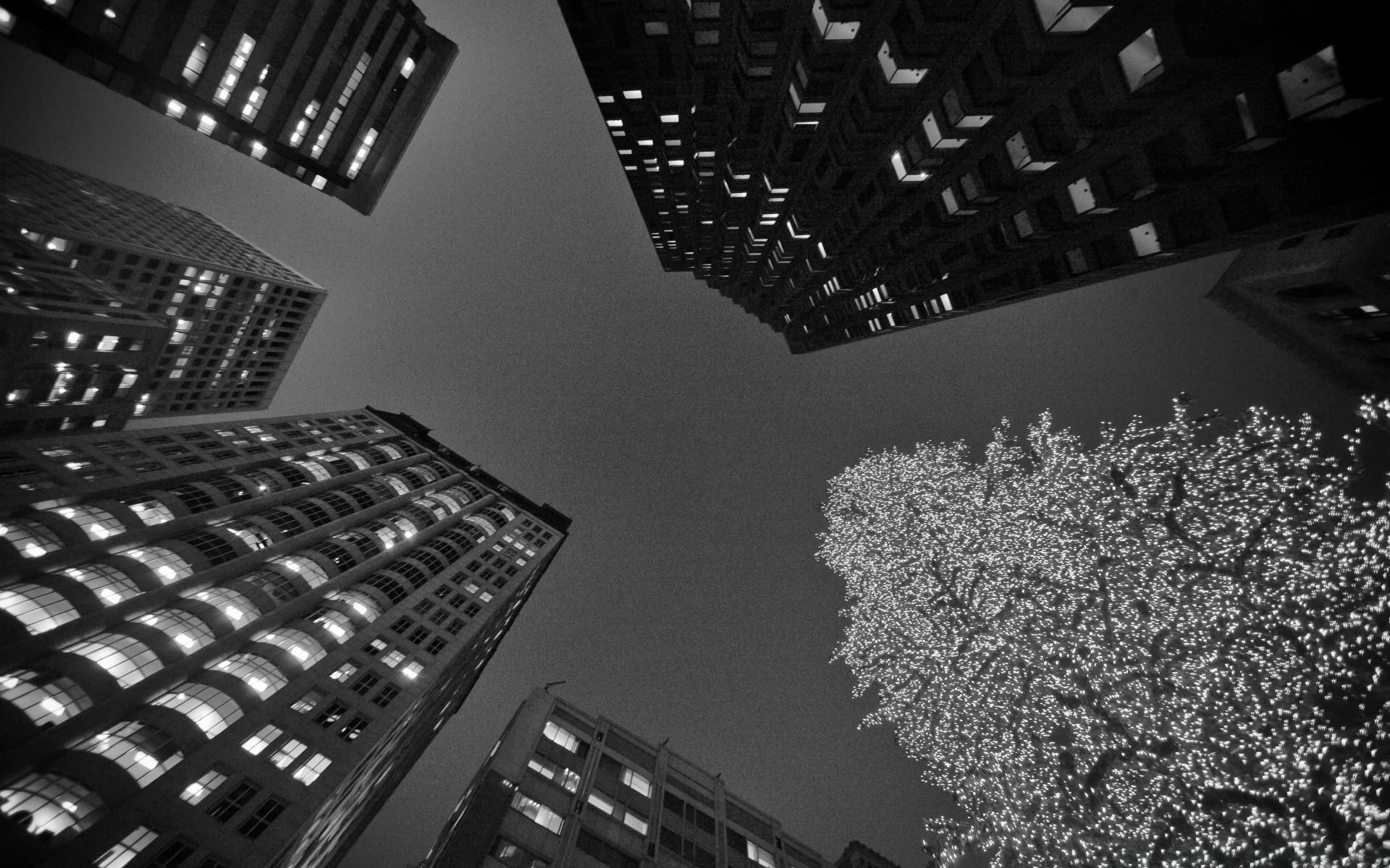 1920x1200 Black And White San Francisco Christmas