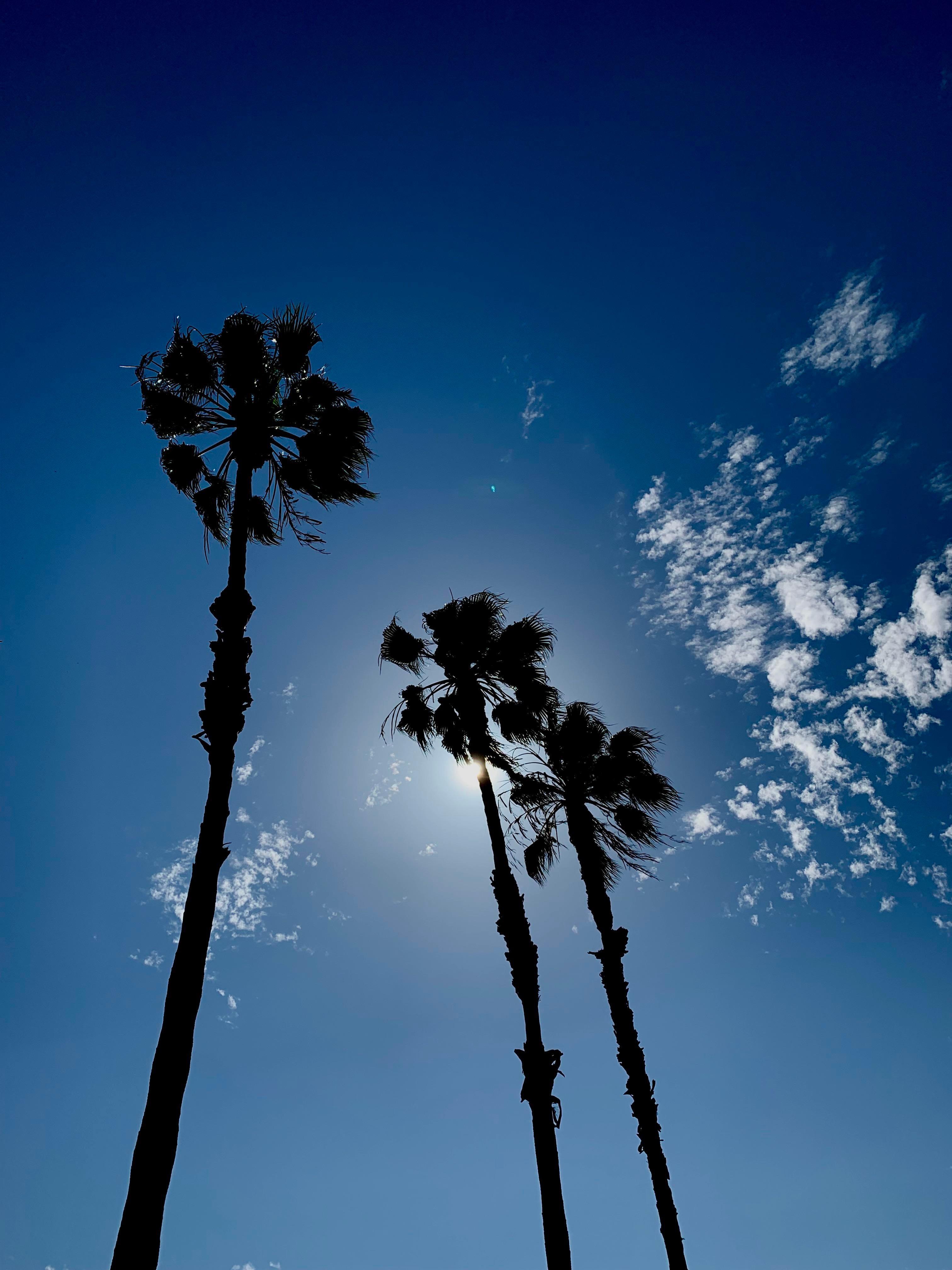 3024x4032 Huntington Beach, California. iPhone X Wallpaper X Wallpaper HD