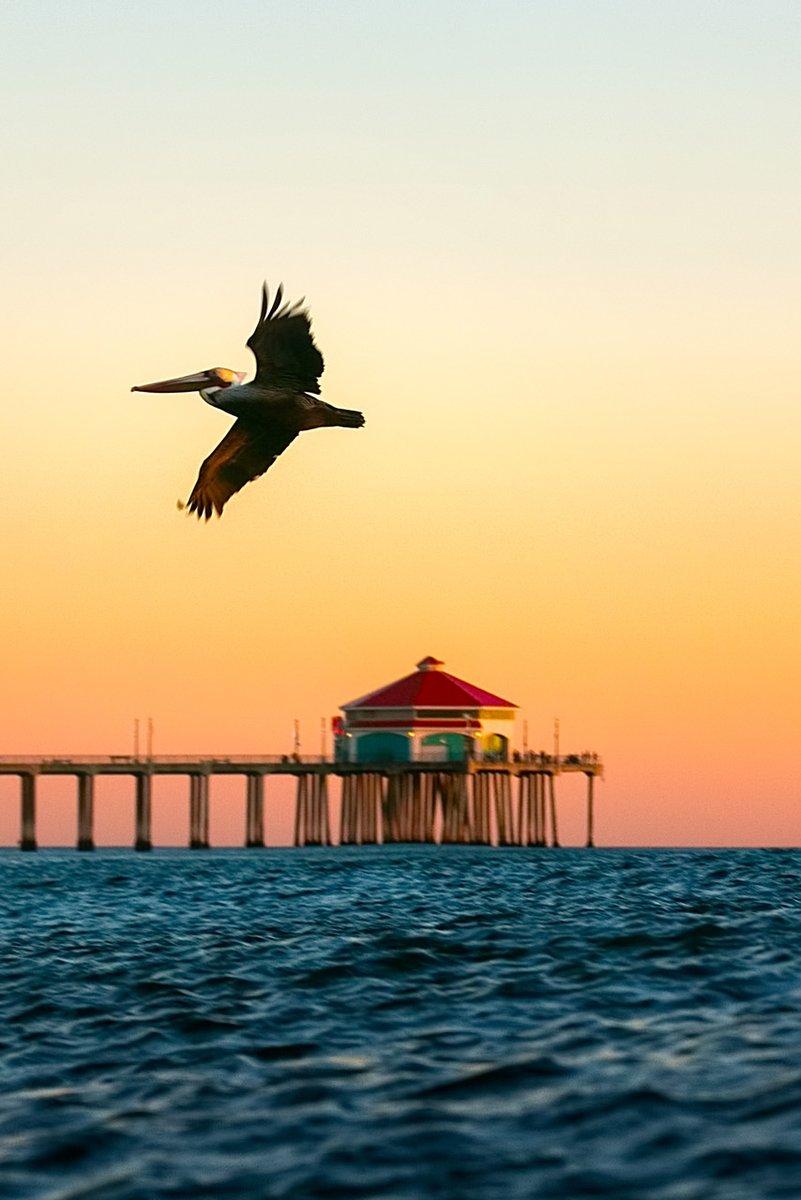 801x1200 Visit Huntington Beach, CA for an updated phone wallpaper? #HBWallpaperWednesday #SurfCityUSA