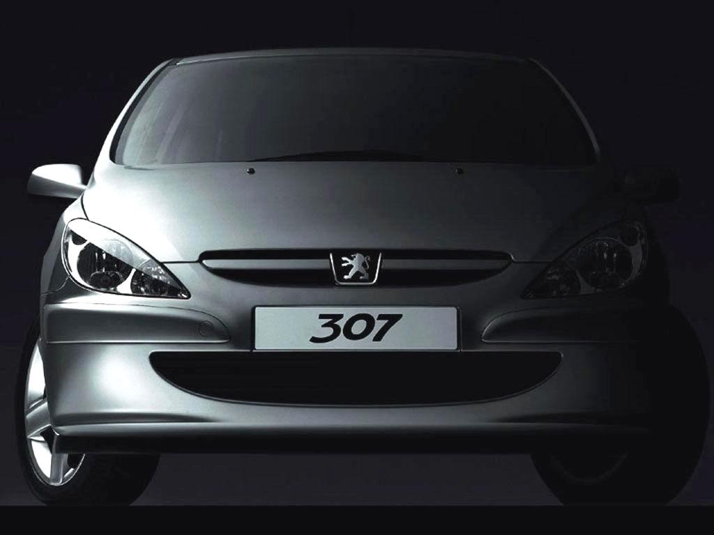 1024x768 Peugeot 307 Wallpaper