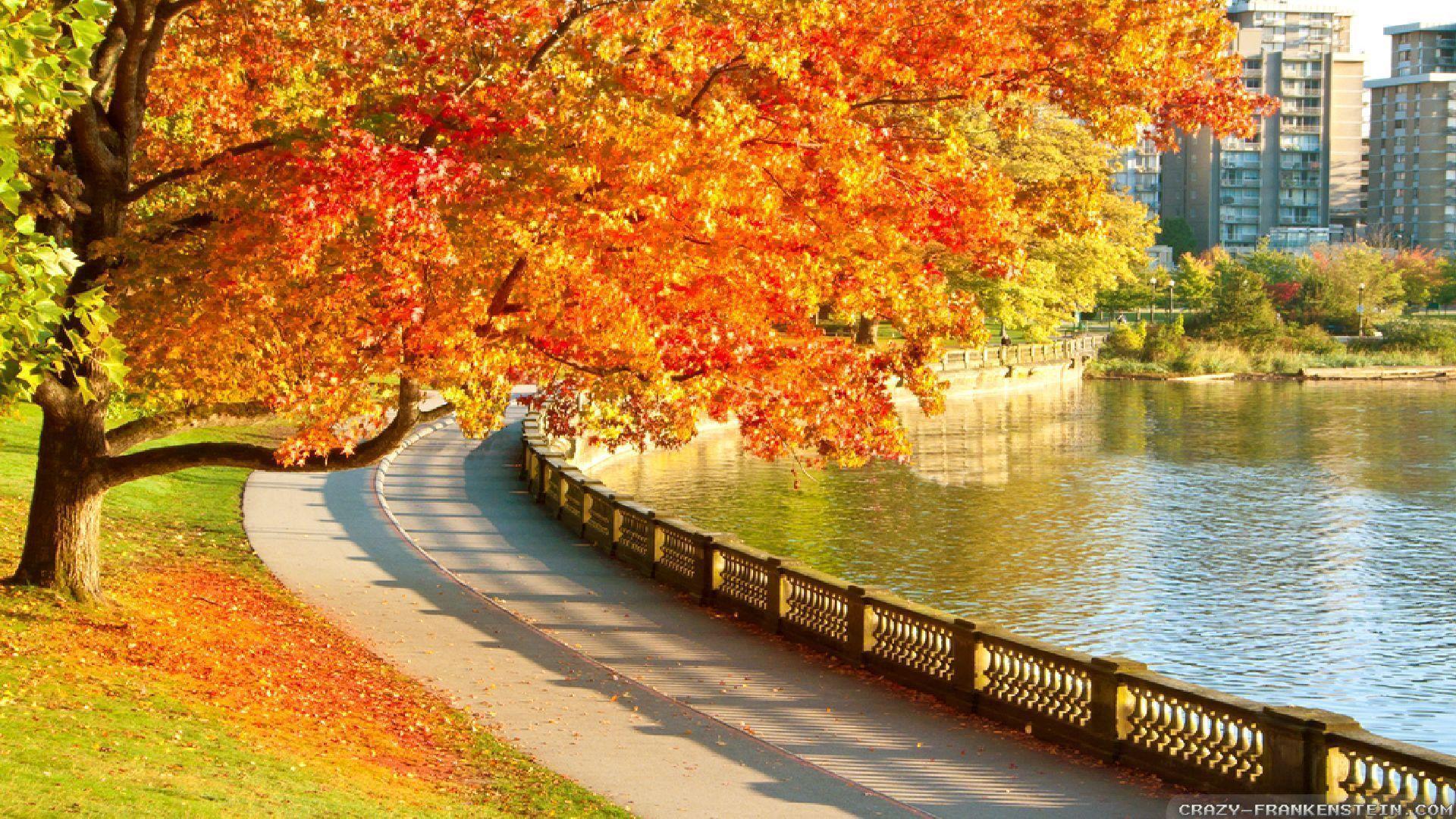 1920x1080 Wallpaper Vancouver Bc