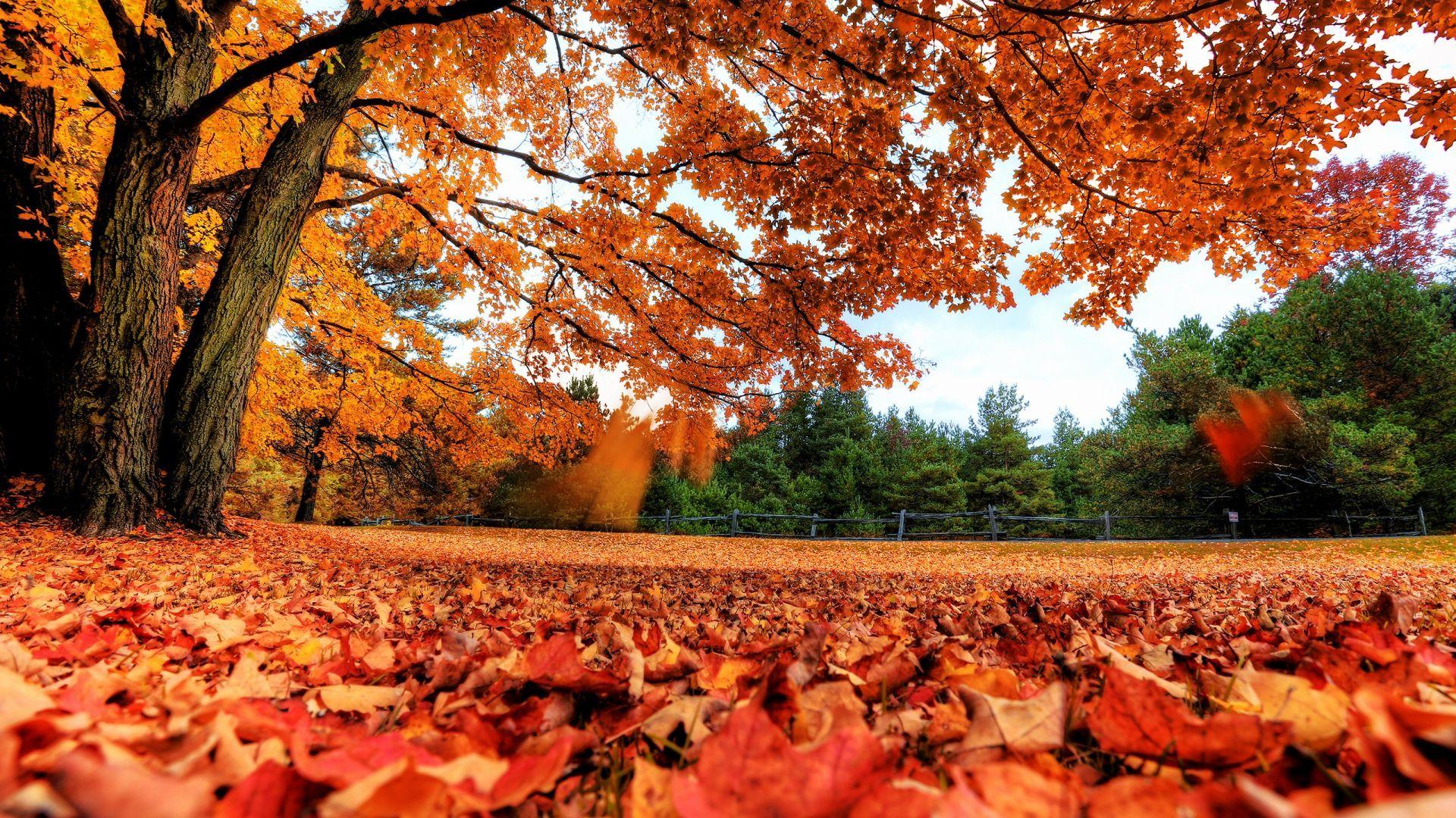 Autumn Weather Wallpapers - Top Free Autumn Weather Backgrounds ...