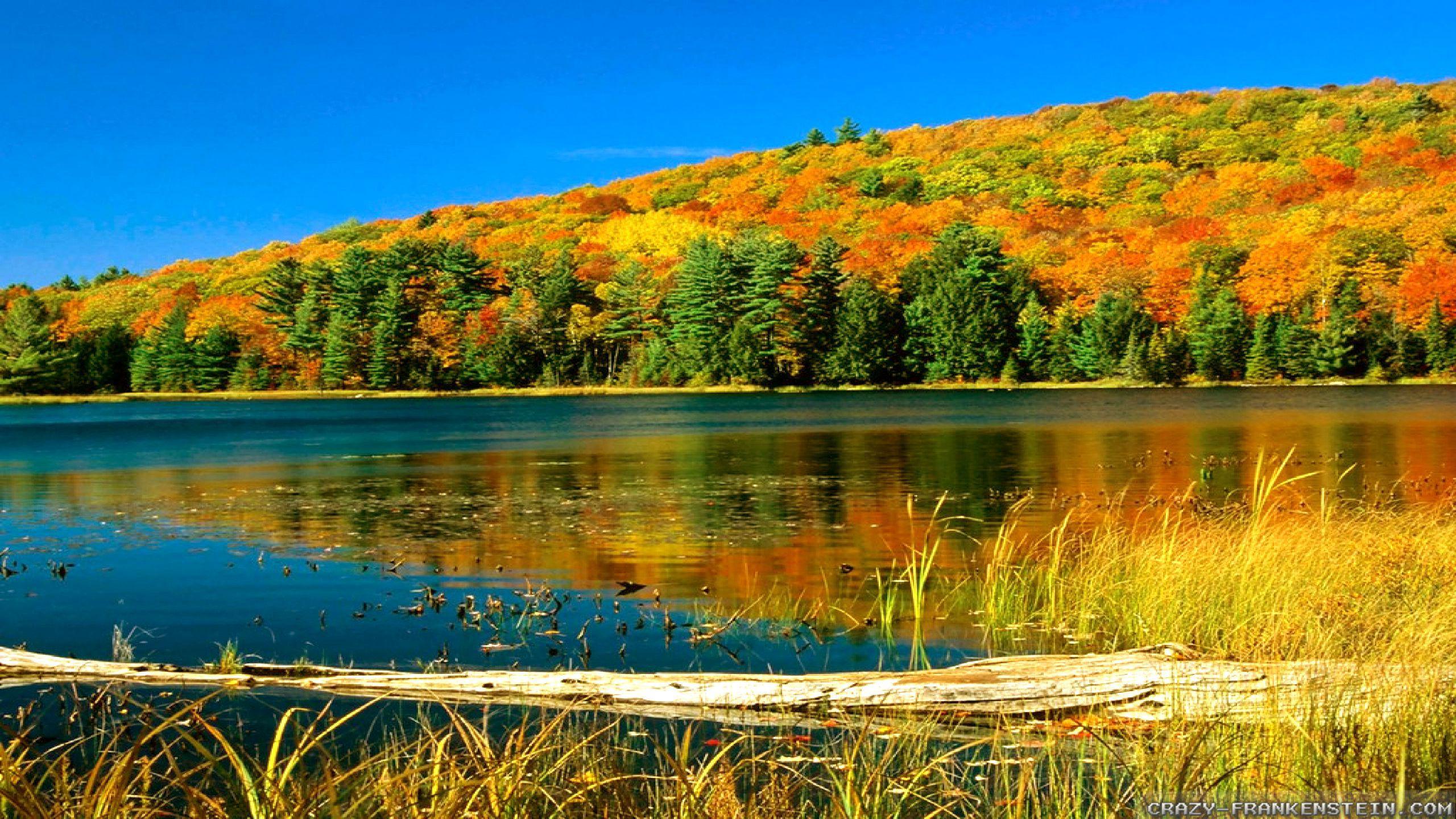 2560x1440 Autumn In Canada wallpaper