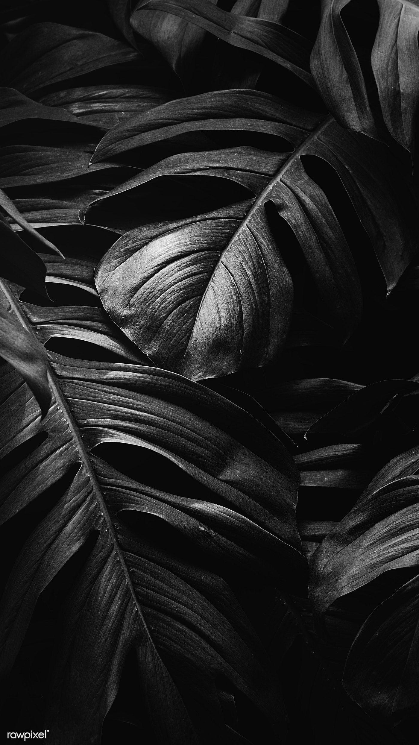 1400x2489 Dark Leaves Wallpaper