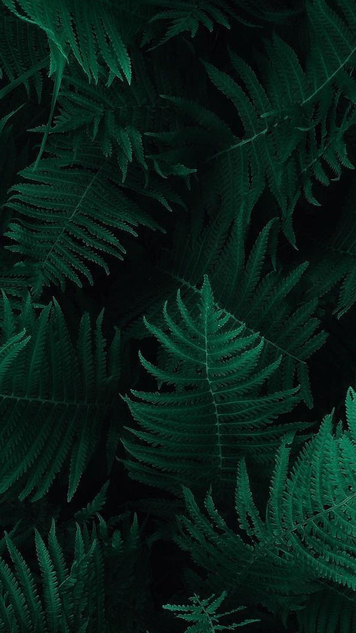 1242x2208 Leaves Wallpaper