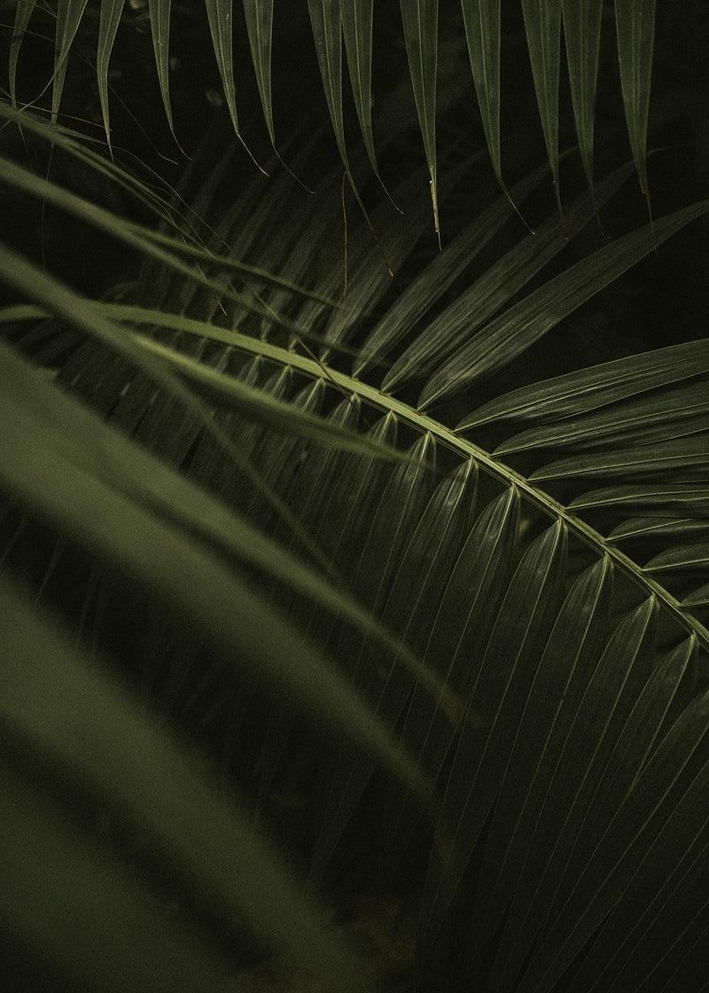 800x1120 Free Photo, PNG Stickers, Wallpaper & Background