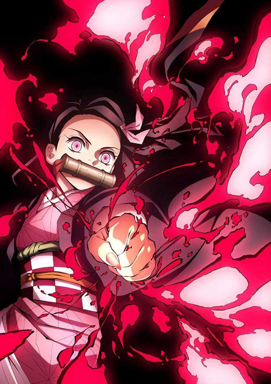 904x1280 Nezuko Wallpaper