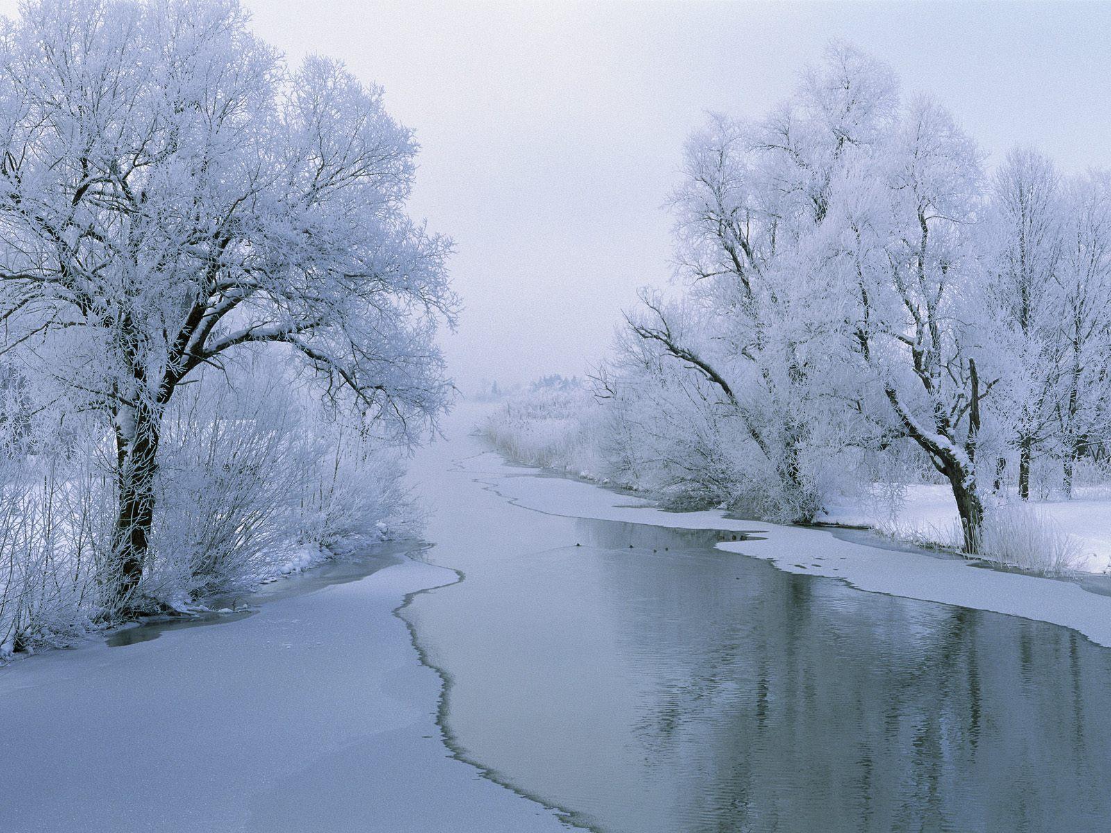 1600x1200 Winter Storm Desktop Wallpaper