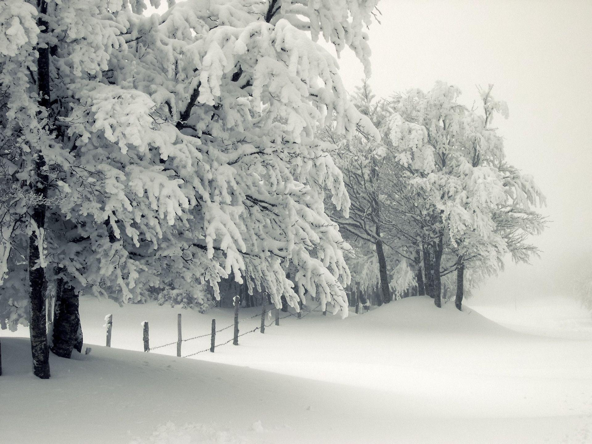 1920x1440 Snow Storm Wallpaper