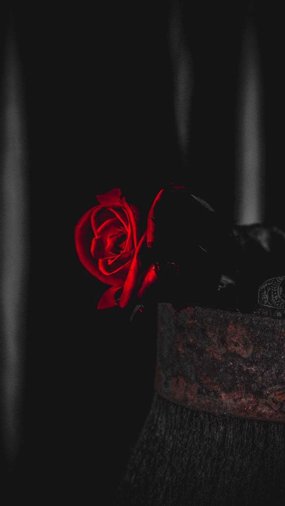 938x1668 Black Rose Wallpaper