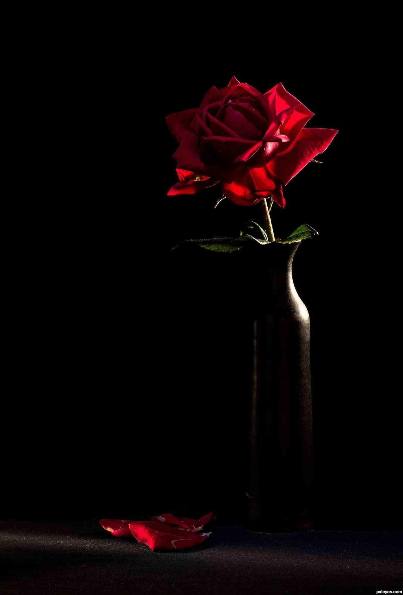1340x1975 Red And Black Rose Wallpaper
