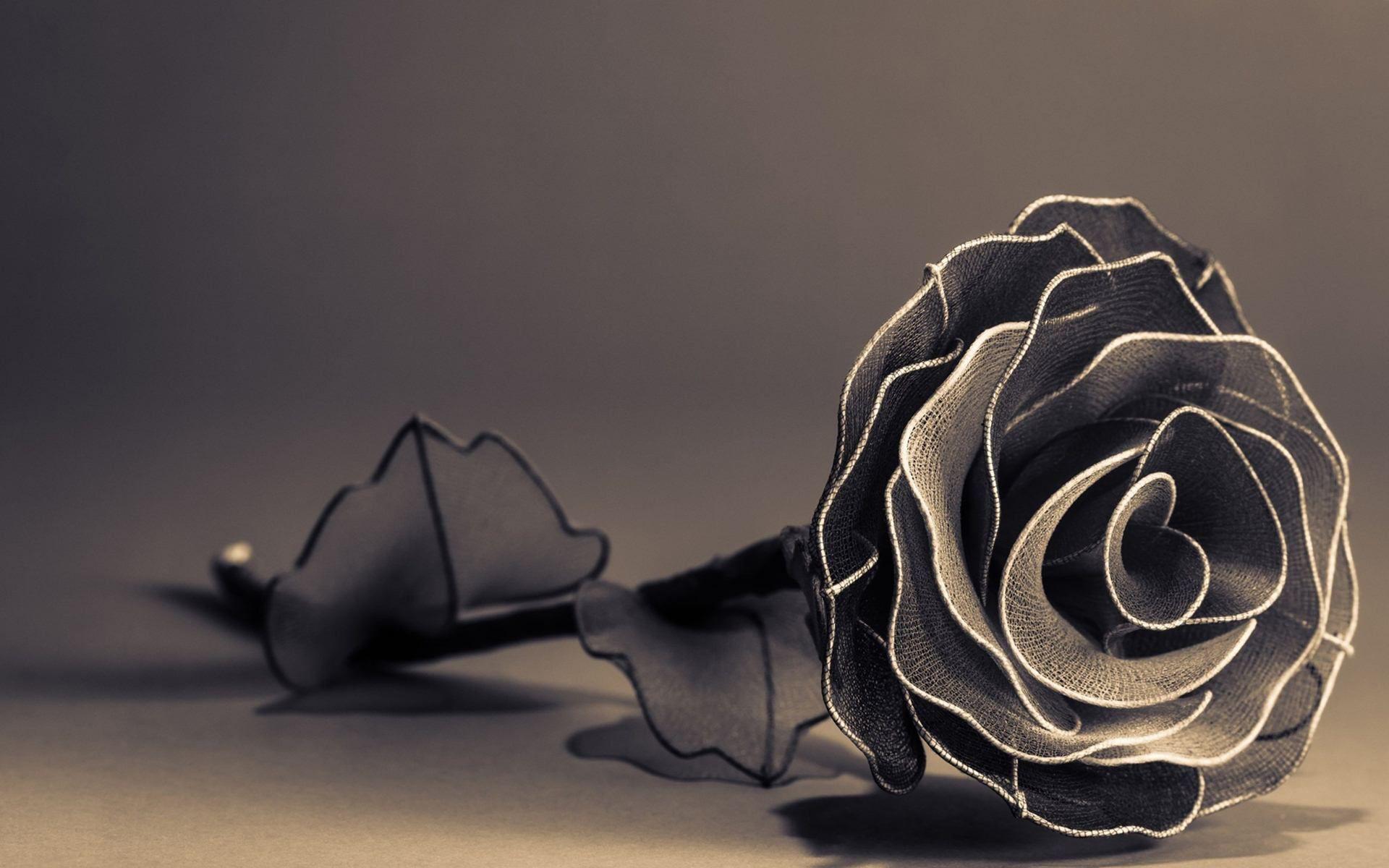 1920x1200 Black Rose Flower Wallpaper HD