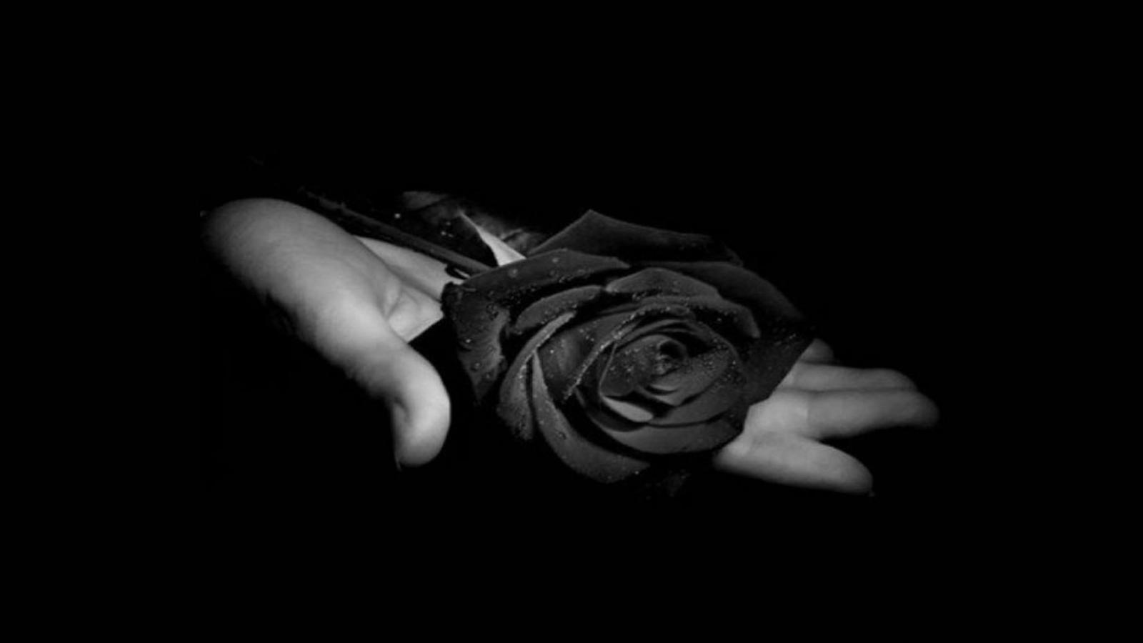 1600x900 Free download Black Rose Wallpaper Beautiful Black Roses HD Wallpaper For [1680x1050] for your Desktop, Mobile & Tablet. Explore Black Rose Wallpaper Image. Black Roses Wallpaper, Black And White