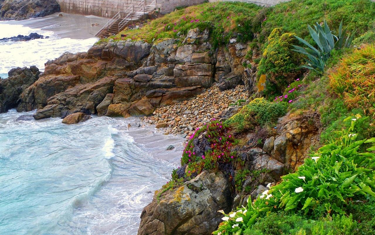 1280x804 Nice Beach Ocean Rocks Plants wallpaper. Nice Beach Ocean Rocks Plants