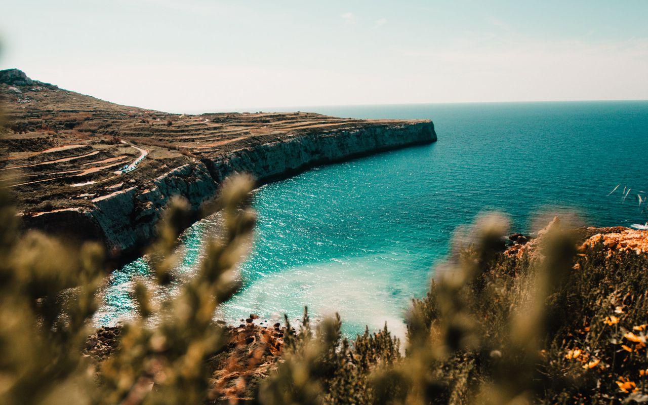 1280x800 Download wallpaper 1280x800 shore, sea, cliff, stone, water, plants widescreen 16:10 HD background